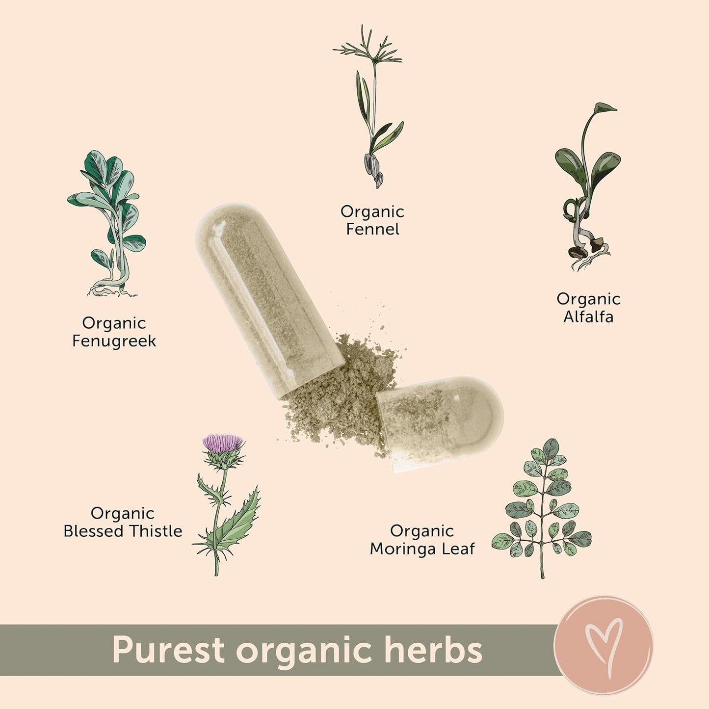 Organic Fenugreek Breastfeeding Support Supplement - Elevate Lactation Formula with Fennel, Alfalfa, Blessed Thistle - 60 Capsules