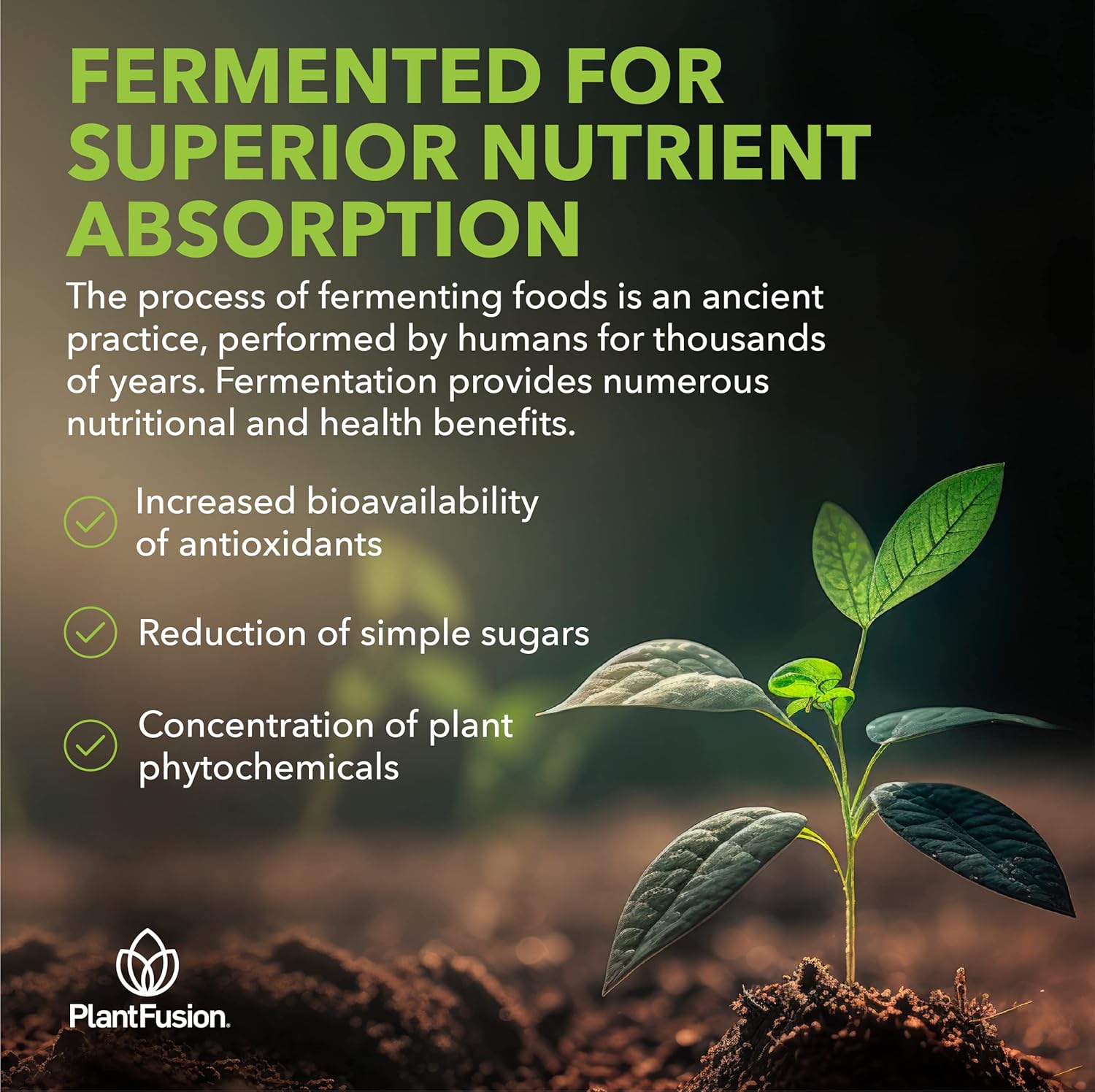 Organic Fermented Superfood Blend with Cacao Powder & Super Greens - Digestive Enzymes, Prebiotic Fiber, Antioxidants - Vegan, Non-GMO, Gluten Free - Chocolate, 30 Servings, 8.47oz