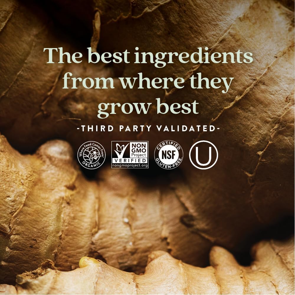 Organic Fermented Vitamin B Complex with B12, B6, and Biotin - 60 ct Bottle