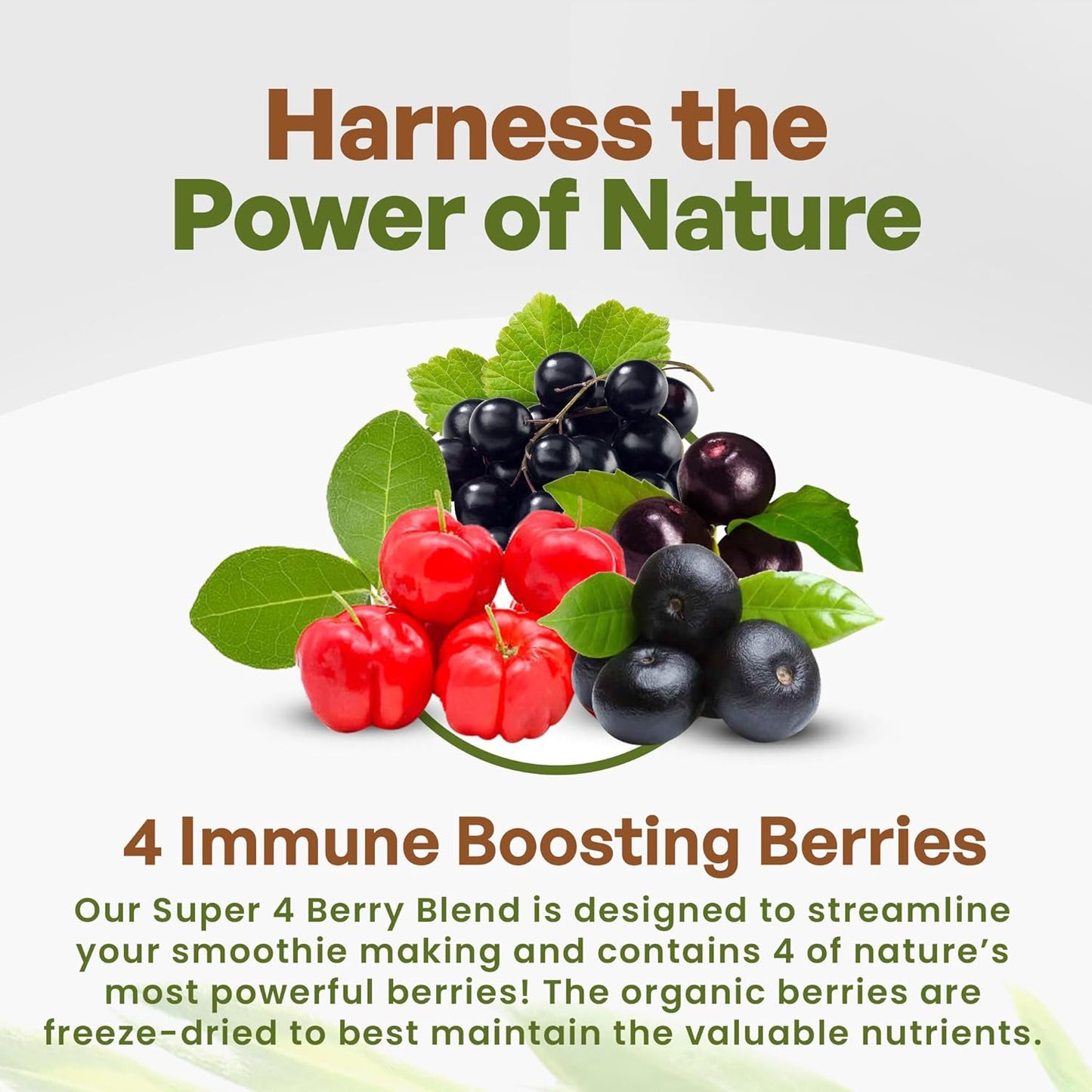 Organic Freeze Dried Berry Blend for Smoothie Bowls | Immune Boosting Superfood Mix with Acai, Maqui, Elderberry, Acerola | Antioxidant-Rich Berries | 15 Servings 8oz