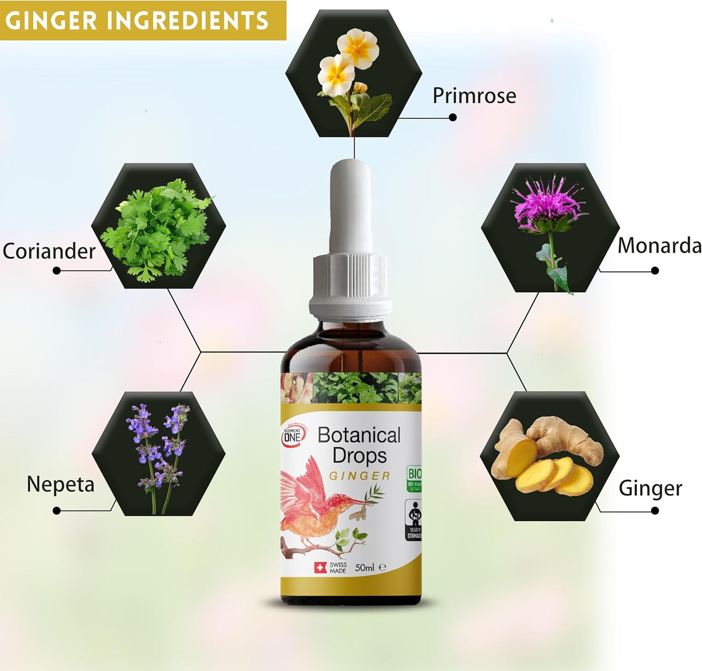 Organic Ginger and Digestive Enzyme Drops for Wellness, Immune Support, and Inflammation Relief