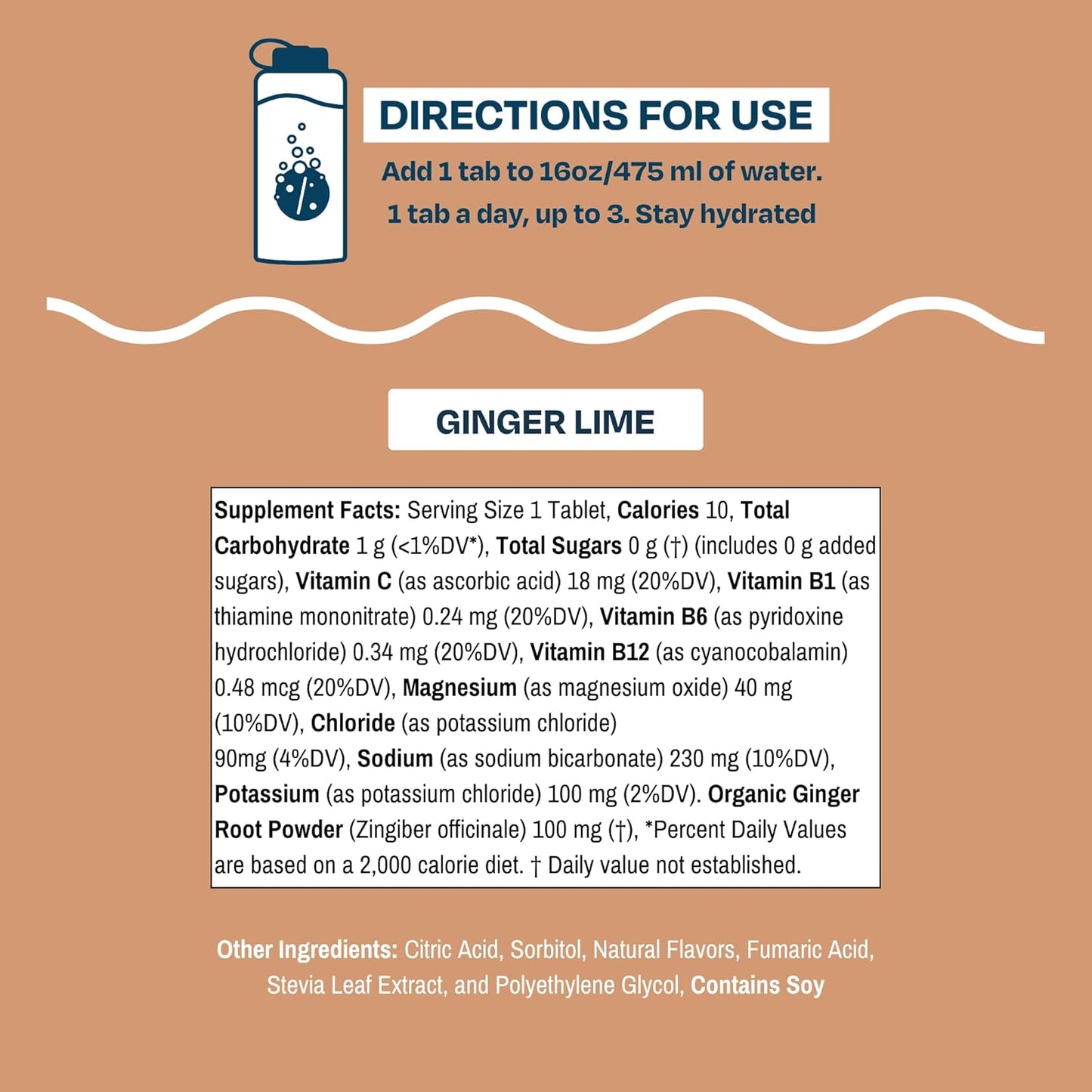 Organic Ginger-Lime Hydration Tablets Bundle (2 Tubes) | Sugar-Free, Electrolytes, 20 Servings | 10 Tablets Per Tube