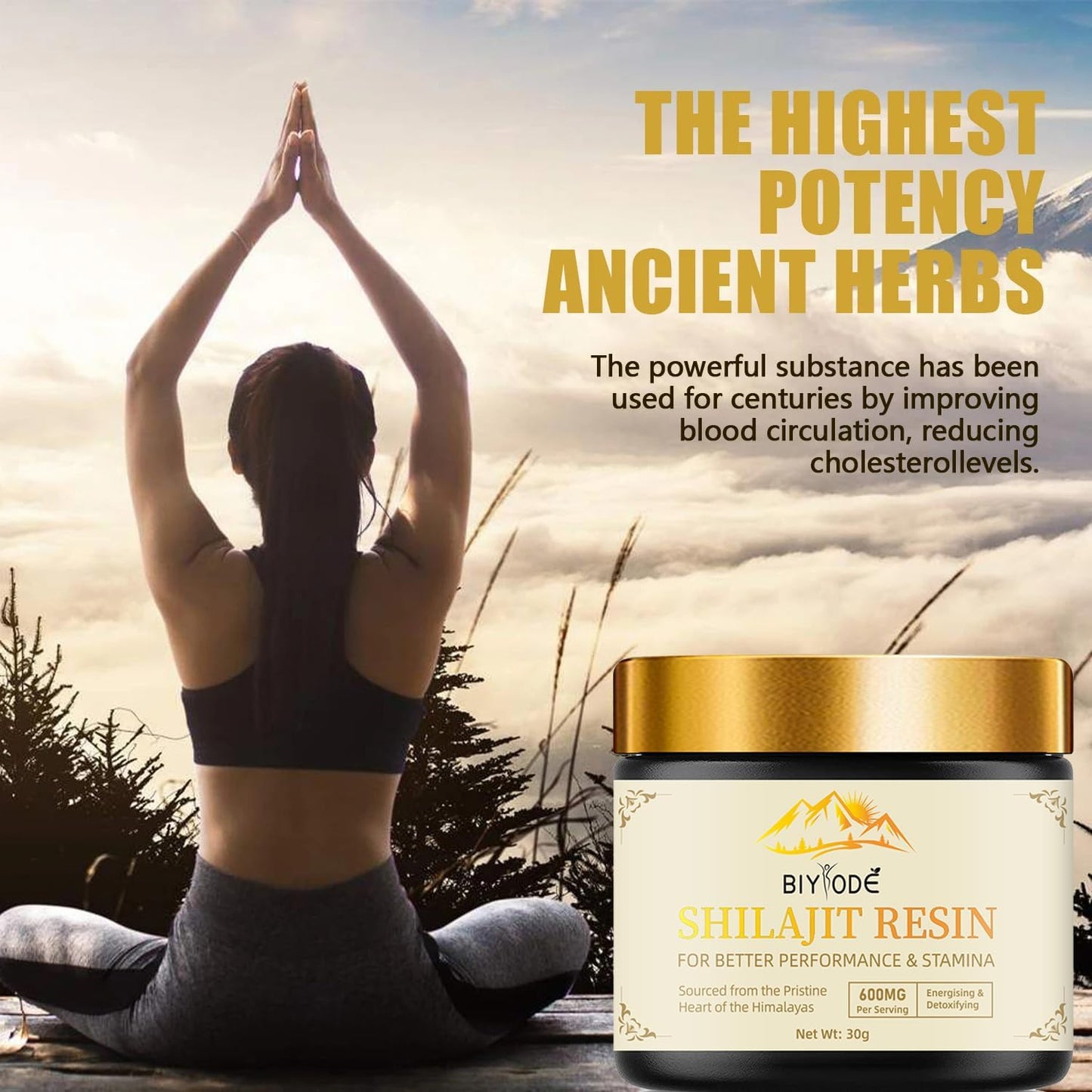 Organic Gold Grade 600mg Shilajit Resin with Fulvic Acid - Energy & Immune Support - 30g Himalayan Shilajit Pure Mineral Complex