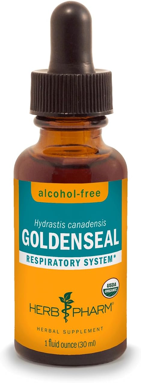 Organic Goldenseal Liquid Extract for Respiratory Support, Alcohol-Free Glycerite - 1oz