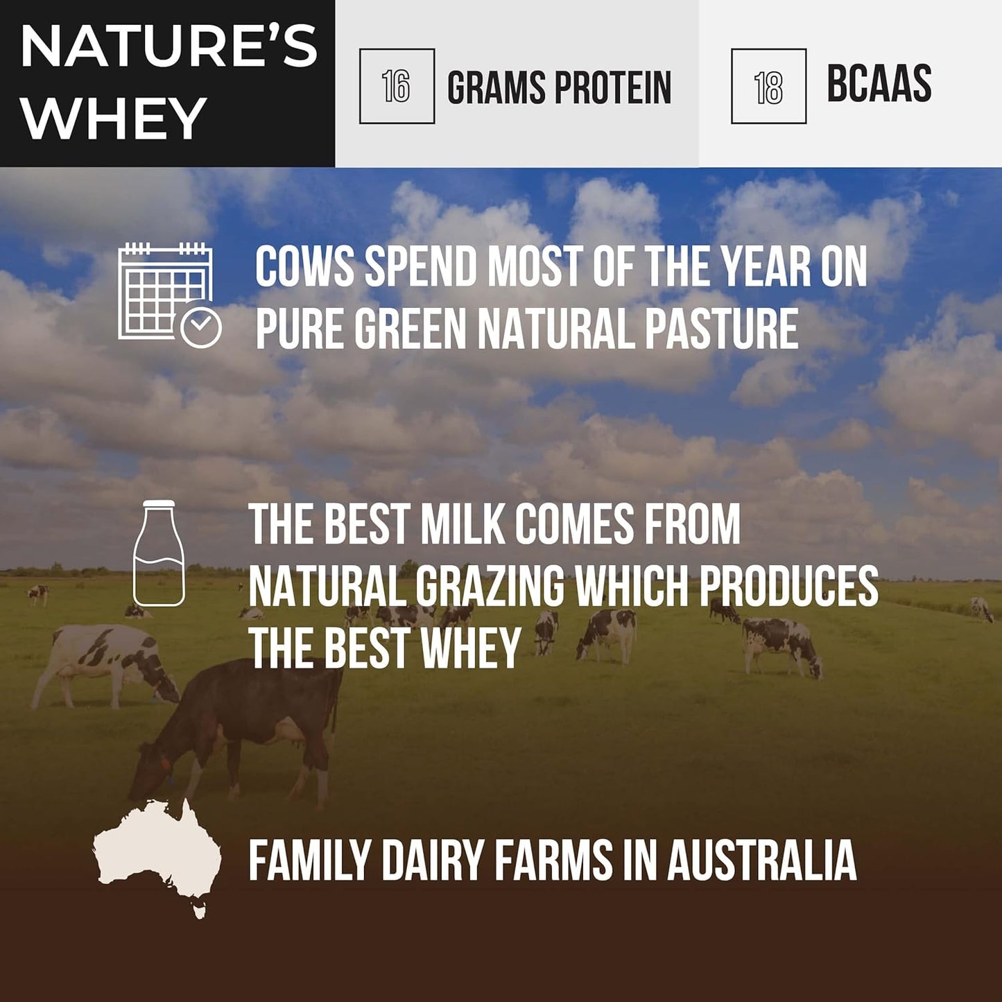 Organic Grass-Fed Whey Protein Powder, Cold-Processed, Non-Denatured, Low Carb, Keto, Paleo, GMO-Free, Gluten-Free, 480g Protein (1.32 lbs) - U.S.A Made