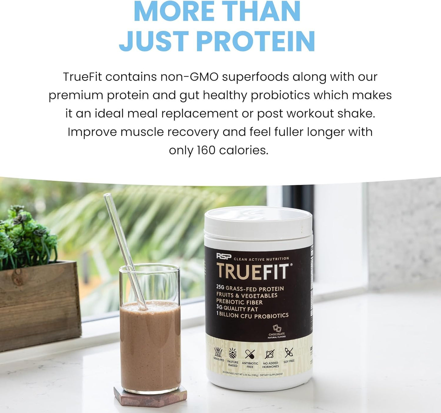 Organic Grass-Fed Whey Protein Powder with Prebiotics & Probiotics for Gut Health - Keto & Gluten Free Meal Replacement Shake - 1.85 lbs
