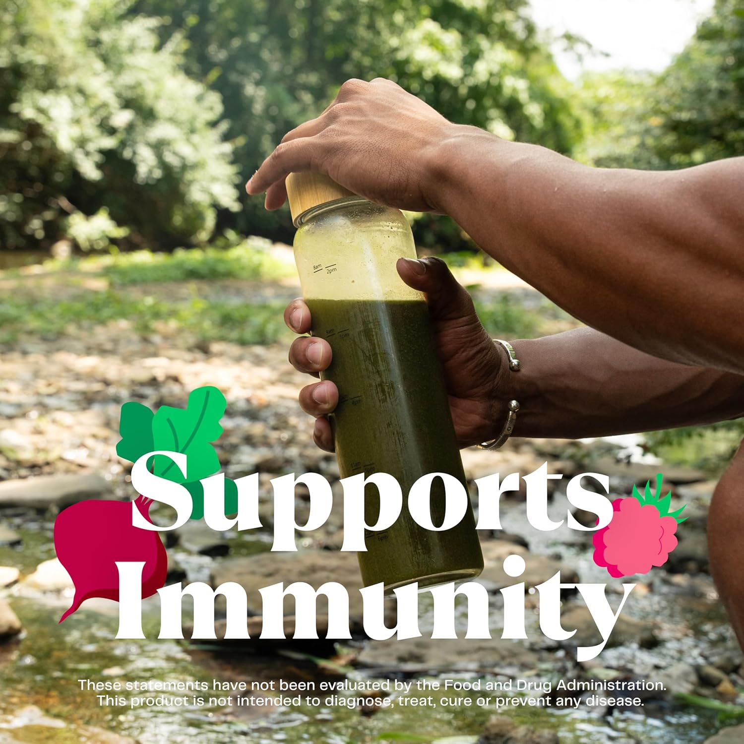 Organic Greens Superfood Powder with Digestive Enzymes & Probiotics - Original Blend with Spirulina, Chlorella, Beet Root - 15 Servings