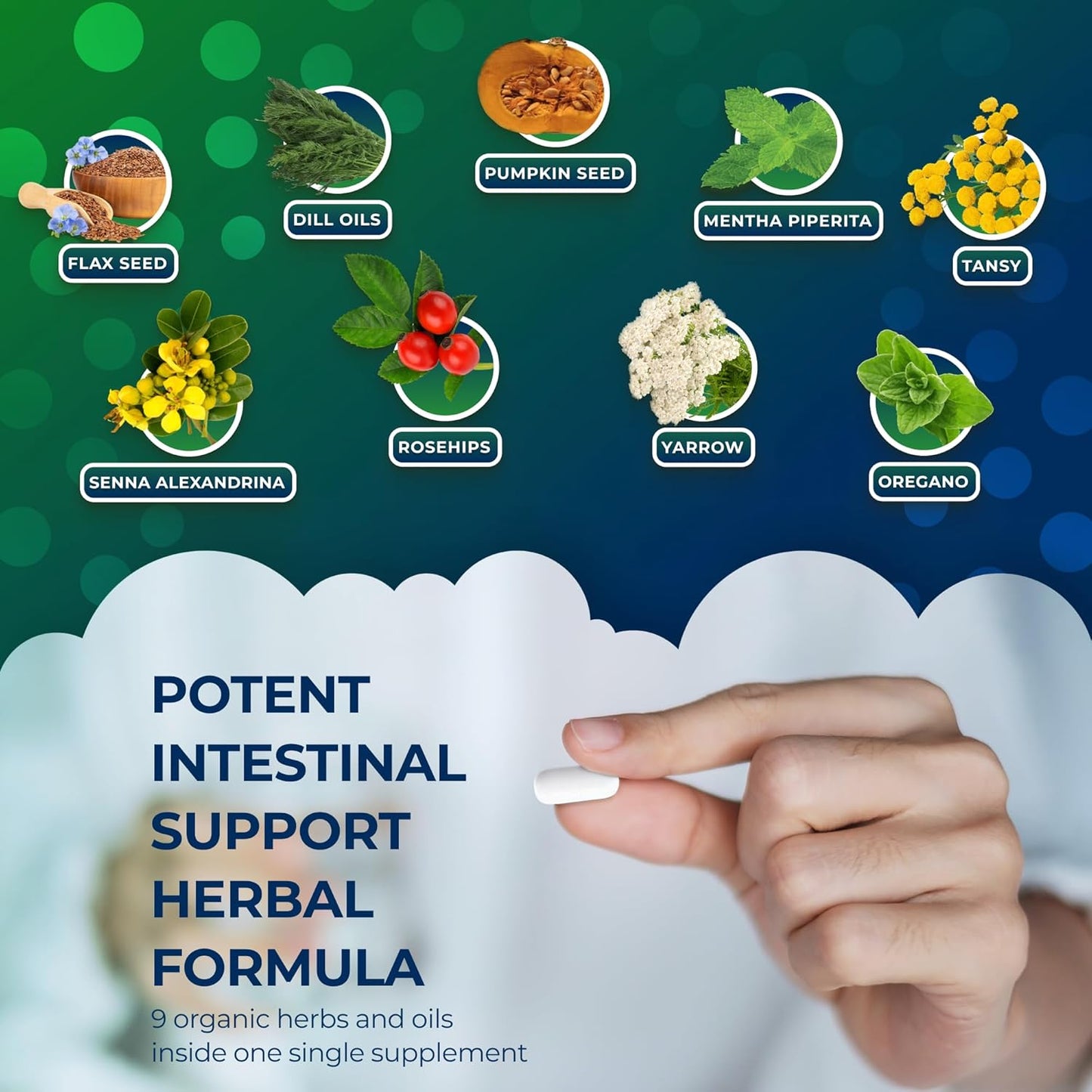 Organic Herbal Intestinal Support Supplement - Promotes Digestive Health, Gut Balance, and Immune Boost - Colon Cleanse Complex for Men and Women - 60 Capsules