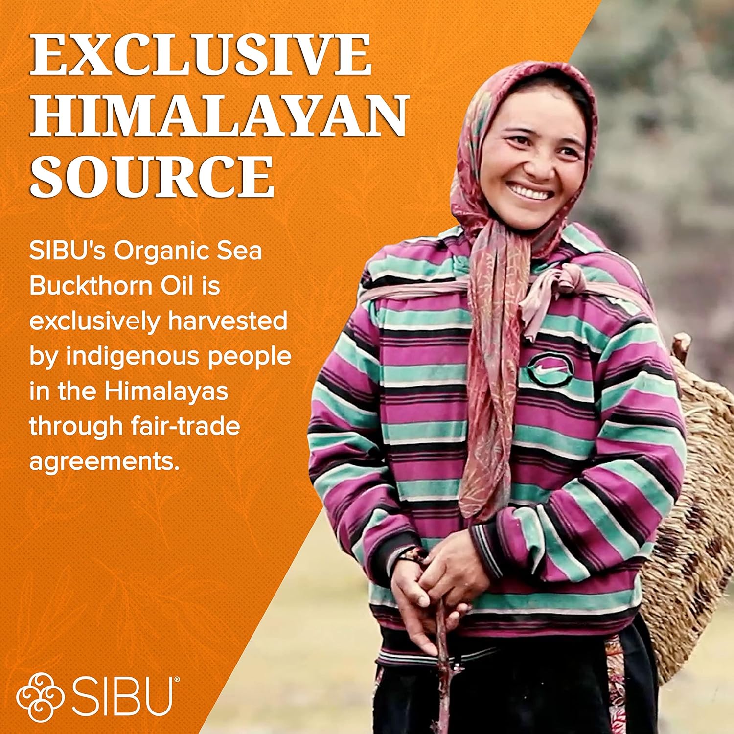 Organic Himalayan Sea Buckthorn Oil Softgels for Skin, Hair & Nails (60ct) - Omega-7 Supplement for Dryness - 30 Day Supply