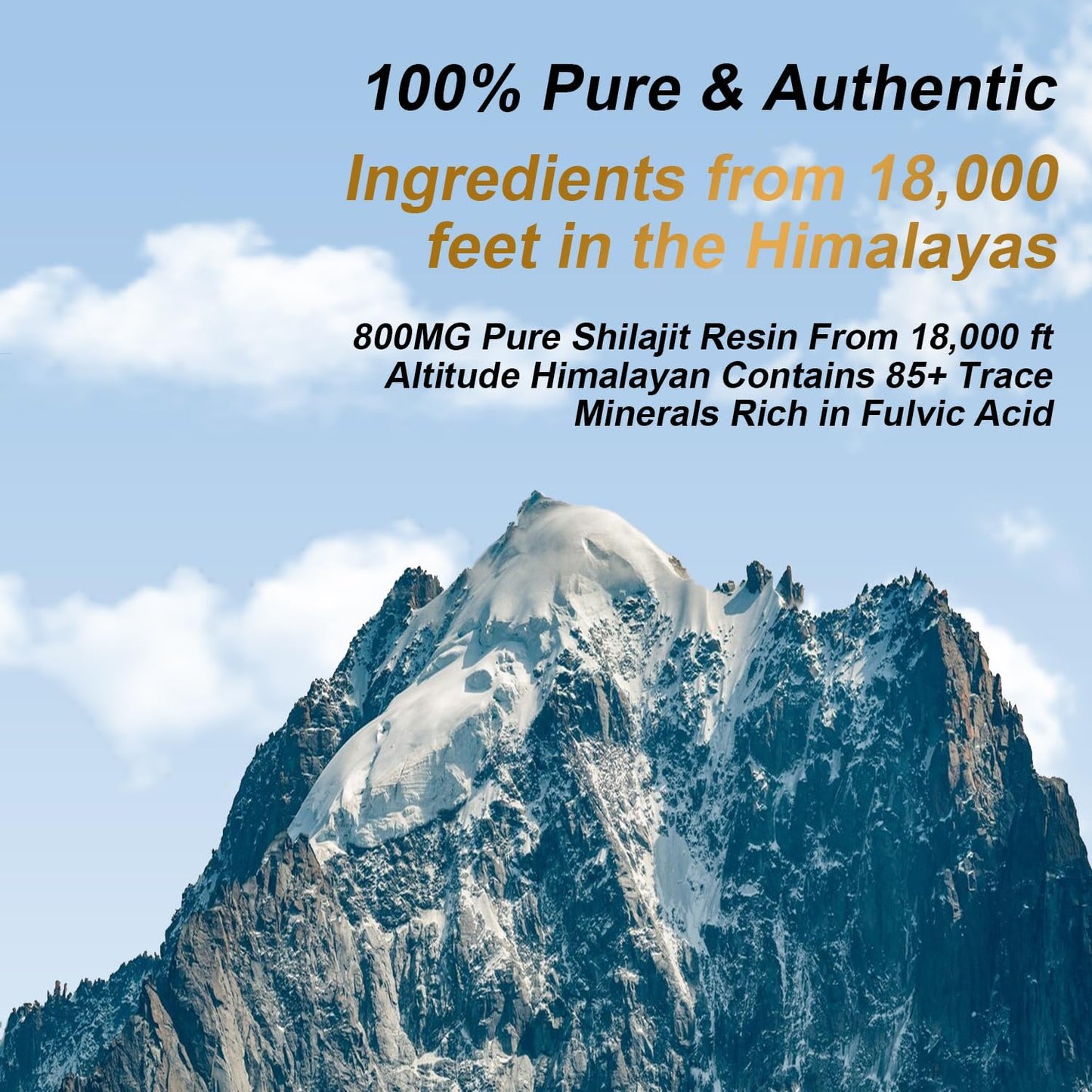 Organic Himalayan Shilajit Resin - 800mg Maximum Potency with 85+ Trace Minerals for Energy & Immune Support - 30g