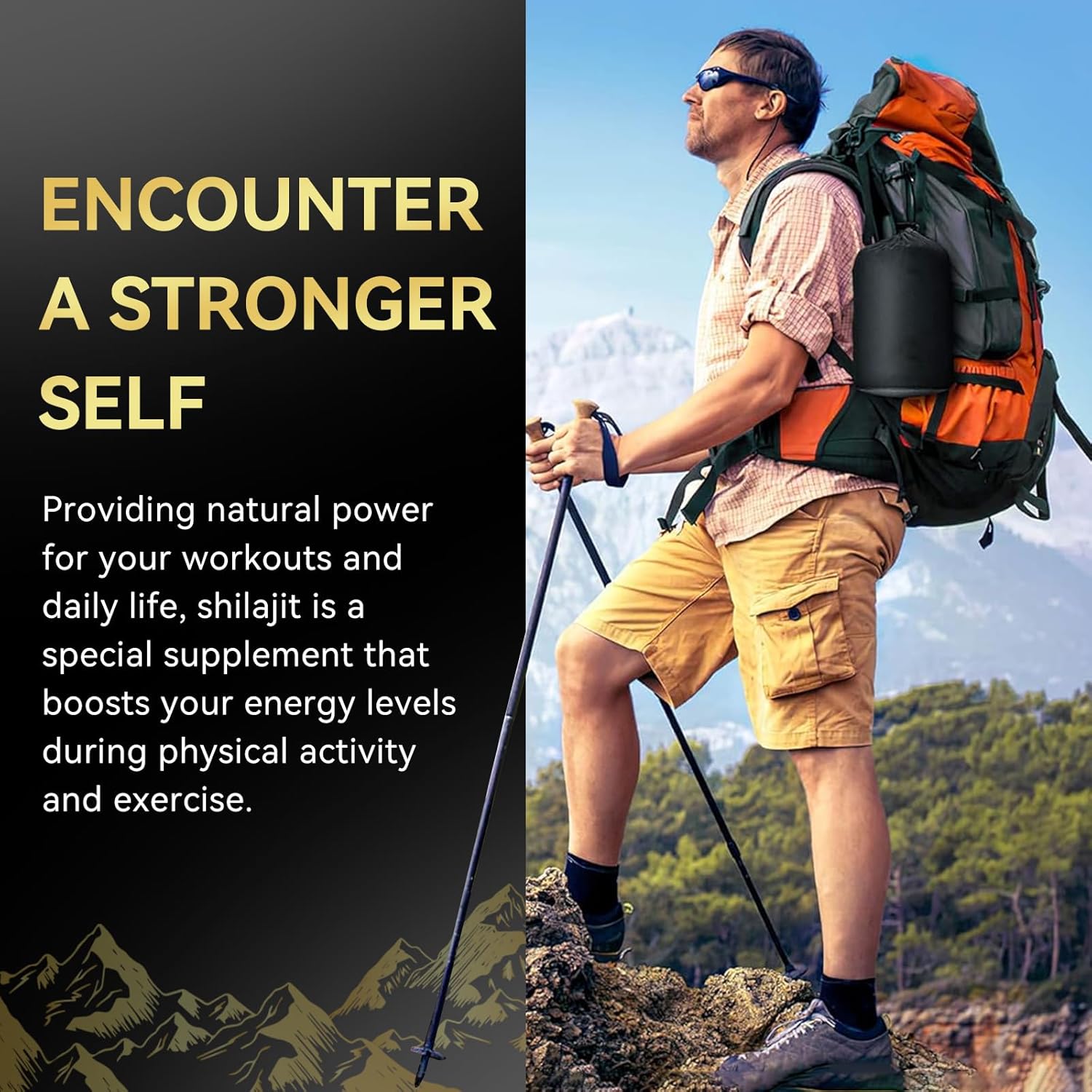 Organic Himalayan Shilajit Tablets - 60 Tablets, 200mg Each - Boost Energy, Immunity, Brain Support - 85+ Trace Minerals & Fulvic Acid, Men Women Supplement