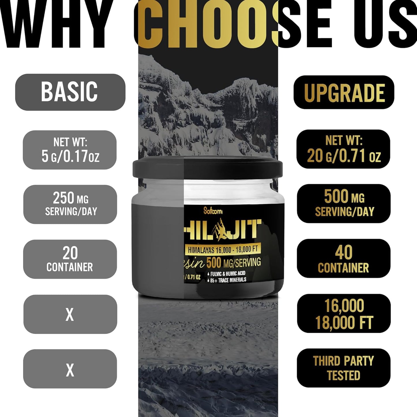 Organic Himalayan Shilajit with Fulvic Acid & 85+ Trace Minerals - Energy, Immune, Cognitive Support - 2 Packs 20g (80 Servings)