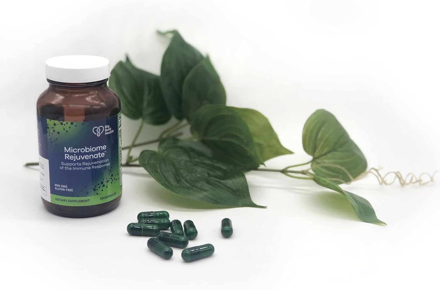 Organic Himalayan Tartary Buckwheat Bran Microbiome Rejuvenate with Prebiotics, Probiotics, and Polyphenols for Immune Balance