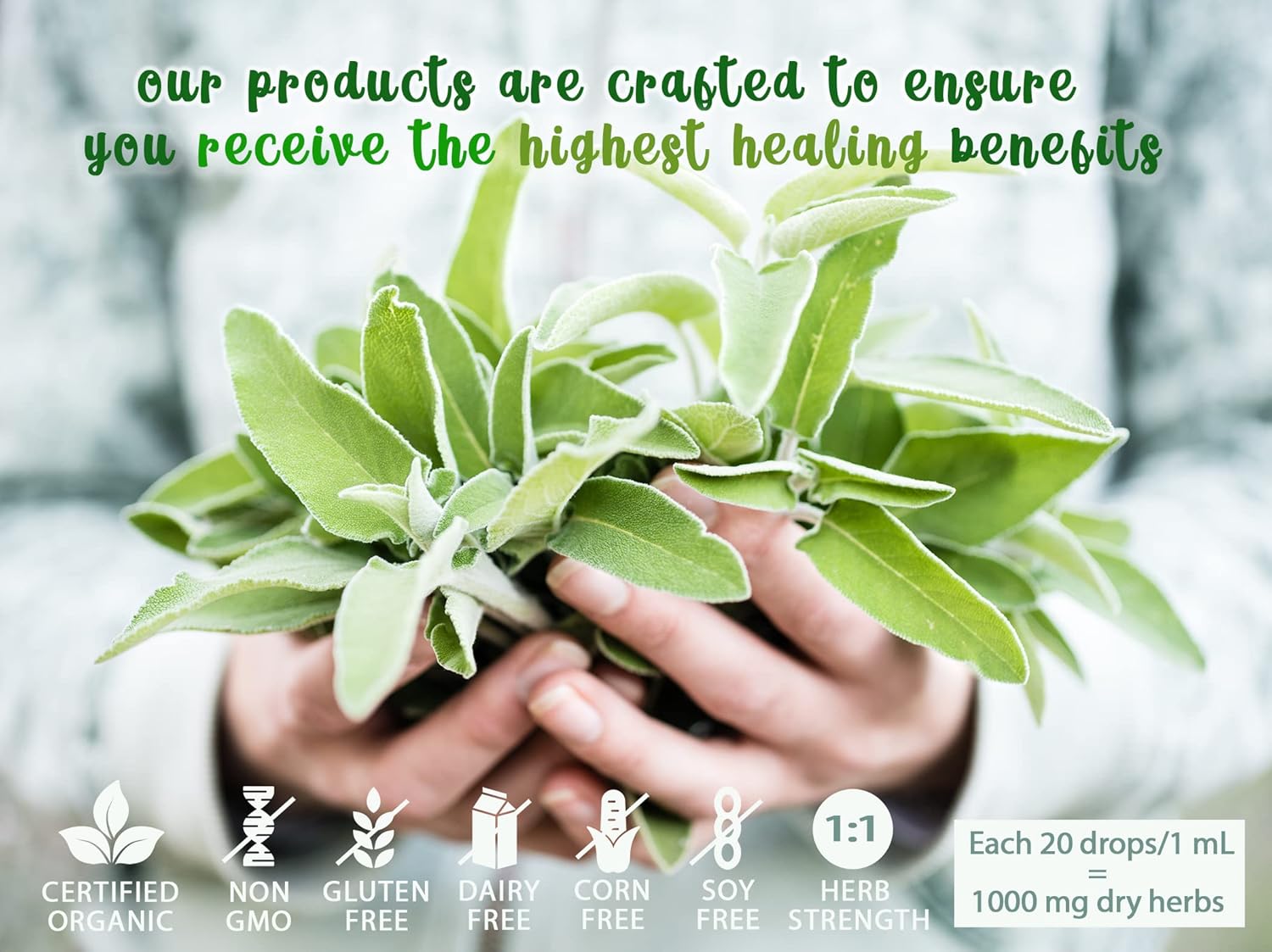 Organic Immune Support Tincture with Siberian Ginseng, Echinacea, Reishi, Astragalus, and Schisandra - Daily Natural Booster (50 mL)