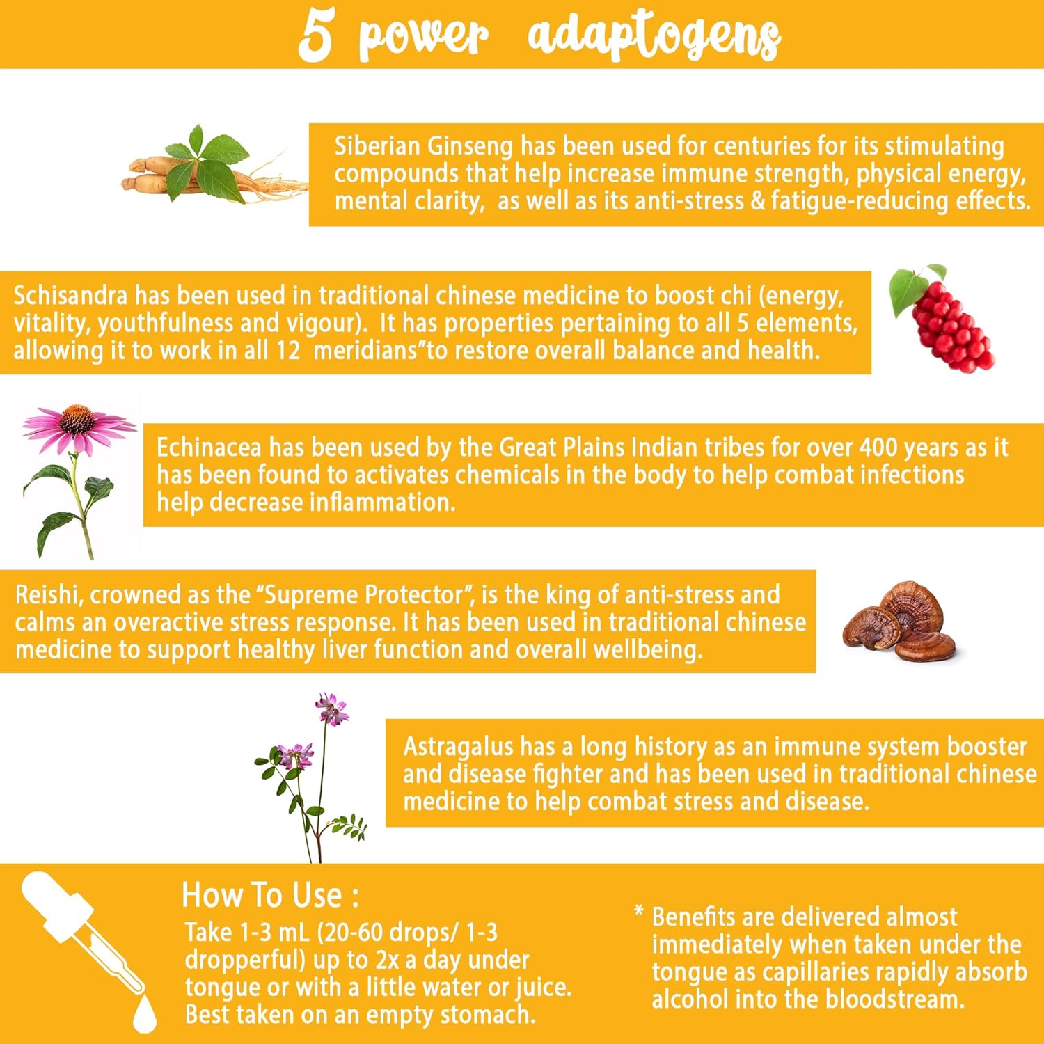 Organic Immune Support Tincture with Siberian Ginseng, Echinacea, Reishi, Astragalus, and Schisandra - Daily Natural Booster (50 mL)