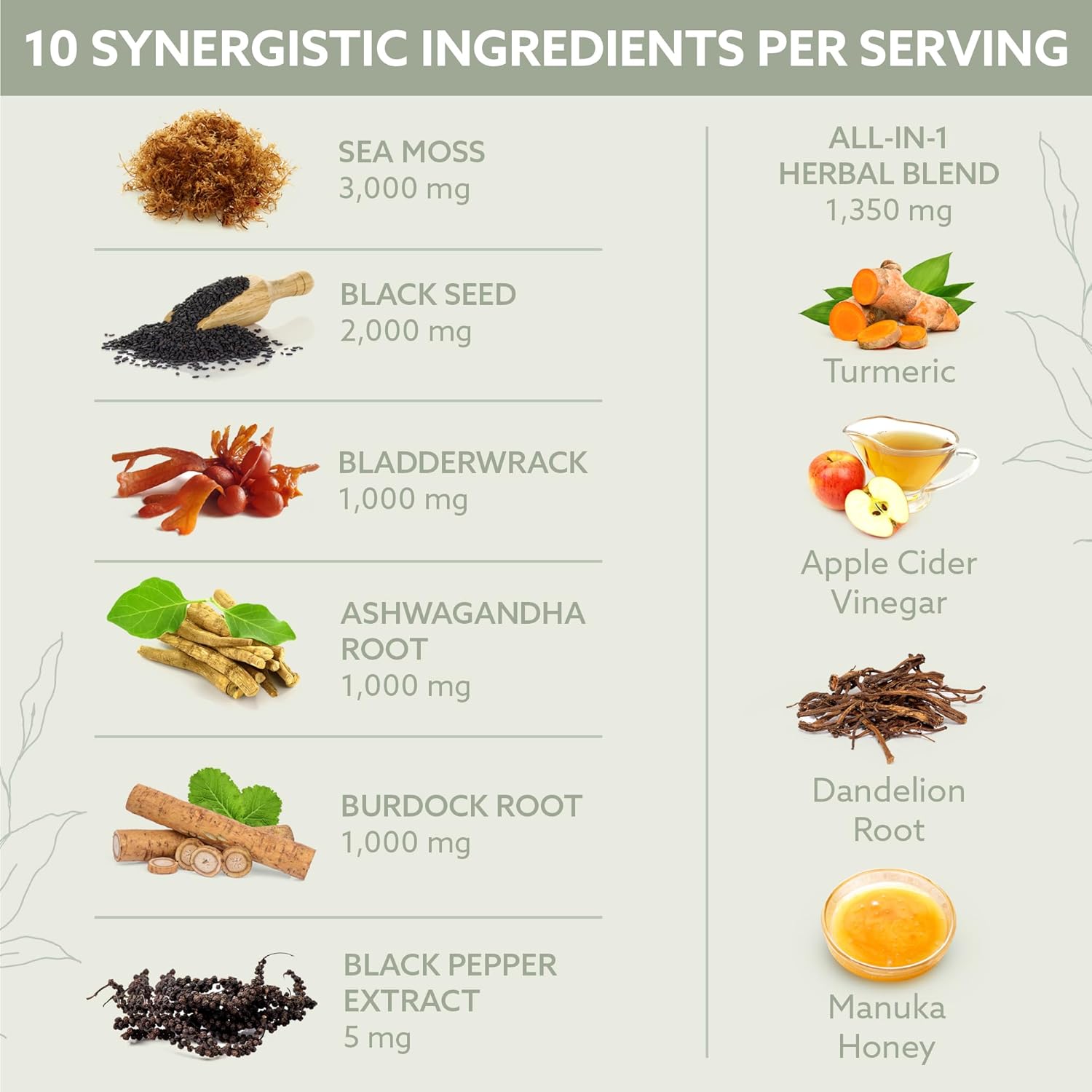 Organic Irish Sea Moss Capsules with Bladderwrack, Burdock Root, Ashwagandha, and Black Seed - Immunity Booster Supplement for Men and Women - Vegan, 60 Capsules