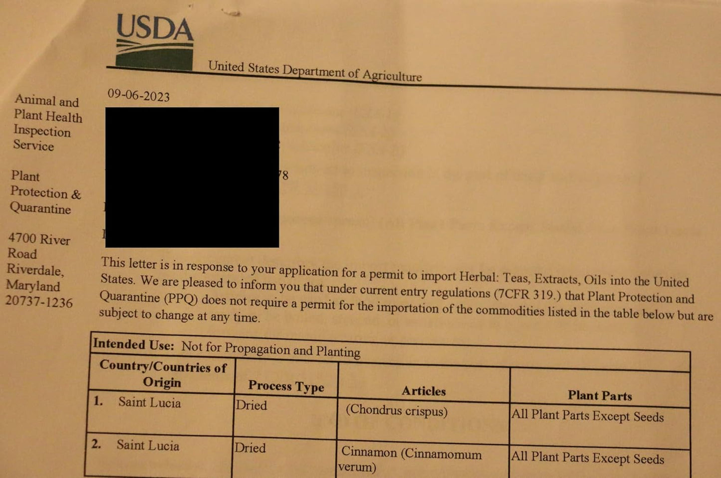 Organic Irish Sea Moss Powder Gold 3 Oz - Premium St. Lucia Sea Moss for Gut Health & Immune Support - Vegan & Gluten-Free Superfood Powder by Luscious Spice Emporium