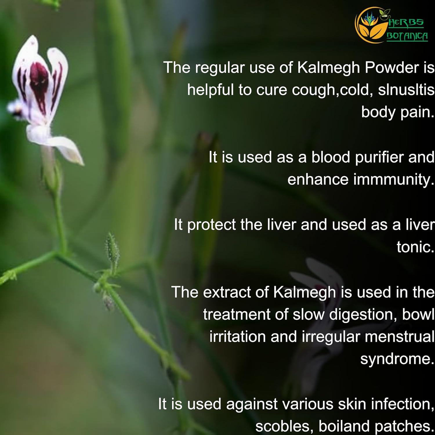 Organic Kalmegh Powder Andrographis Paniculata Green Chiretta 5.3 oz | Immune & Liver Health Support | Respiratory & Detox Benefits | Non-GMO Herb