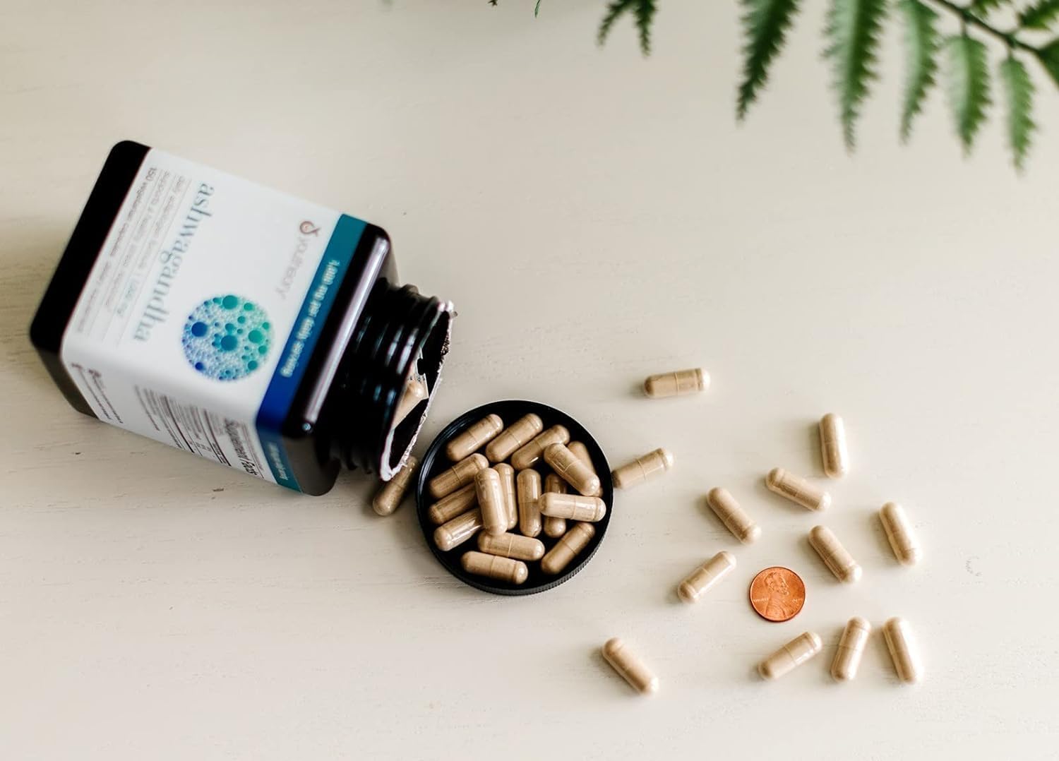 Organic KSM-66 Ashwagandha 1000mg Capsules for Healthy Stress Management