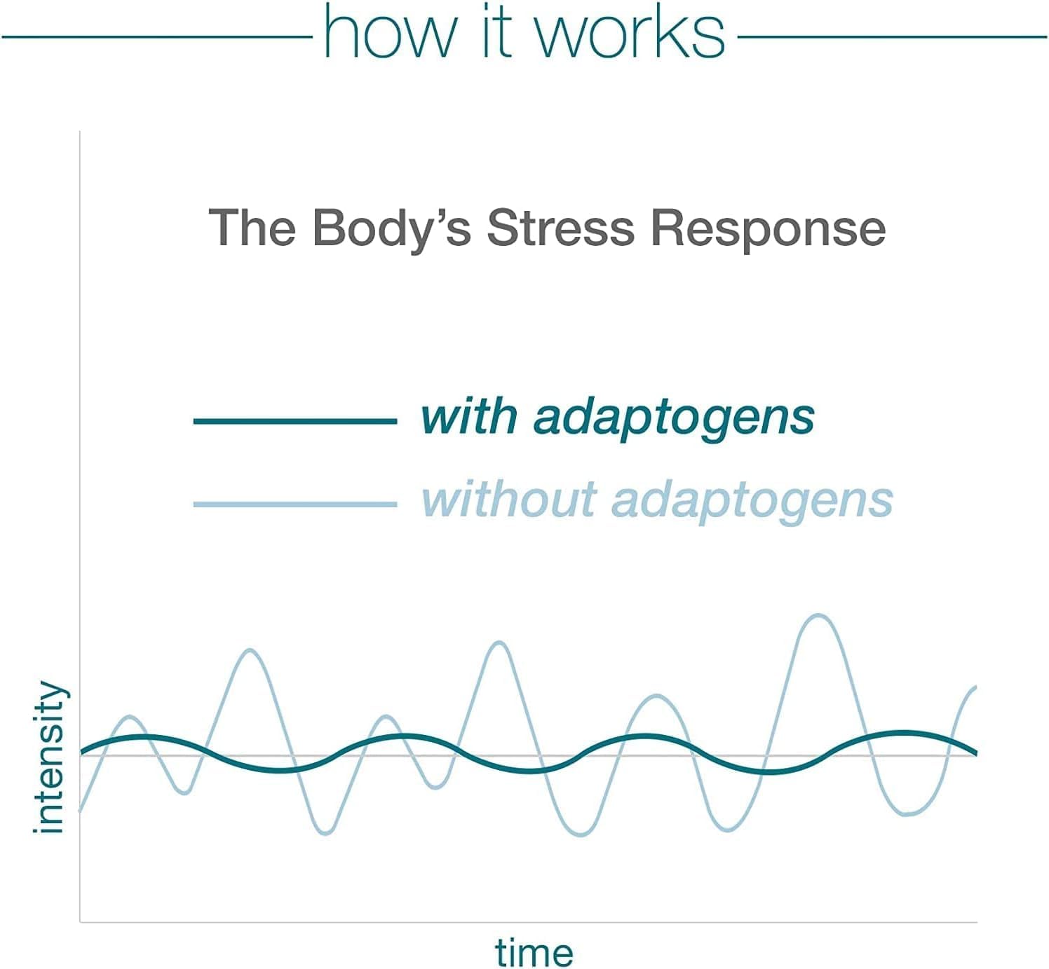 Organic KSM-66 Ashwagandha 1000mg Capsules for Healthy Stress Management
