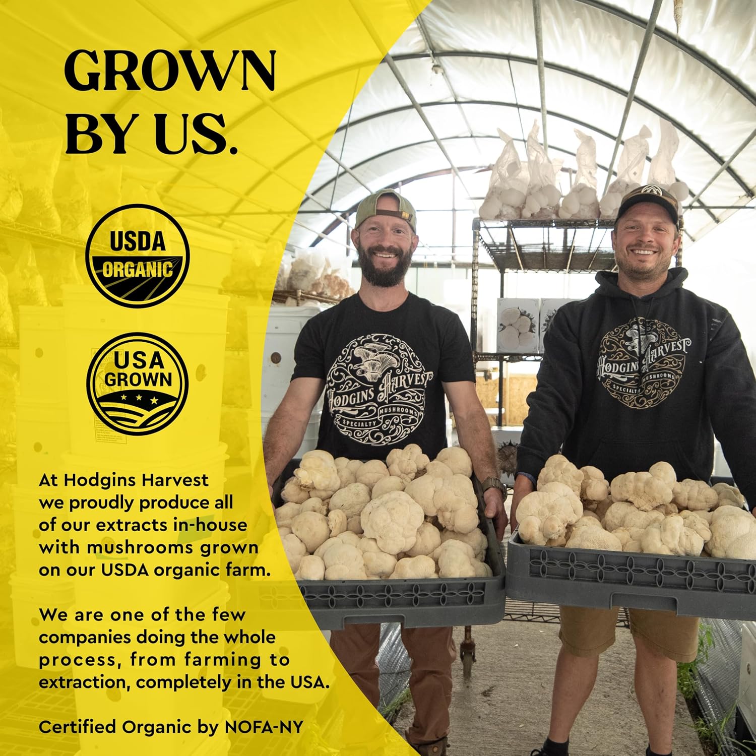 Organic Lion’s Mane and Cordyceps Tincture | Grown on USA Farm | Dual Extract | Extra-Concentrated (4 fl oz)