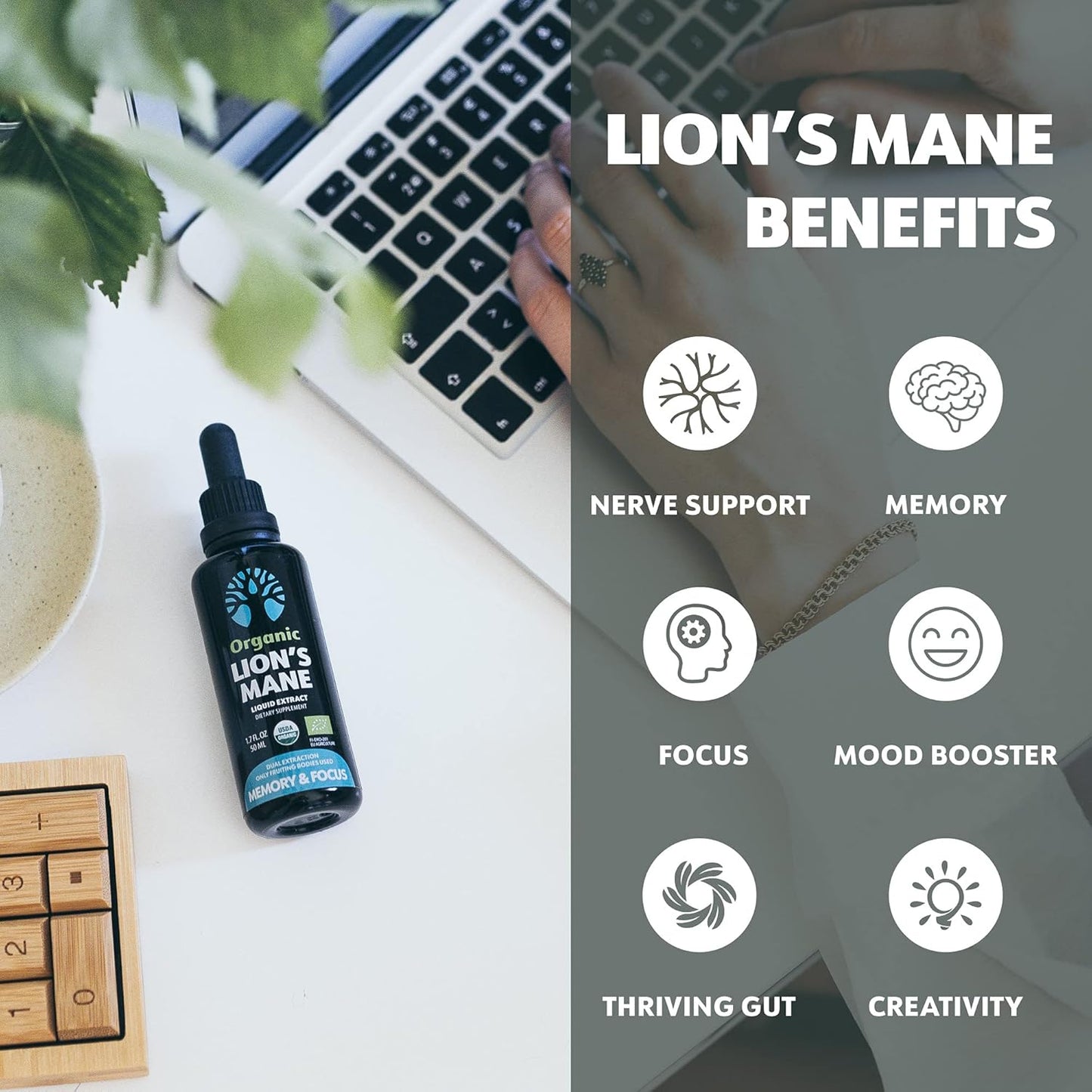 Organic Lion's Mane Extract for Memory and Focus - 50 Servings - Fruiting Bodies Only