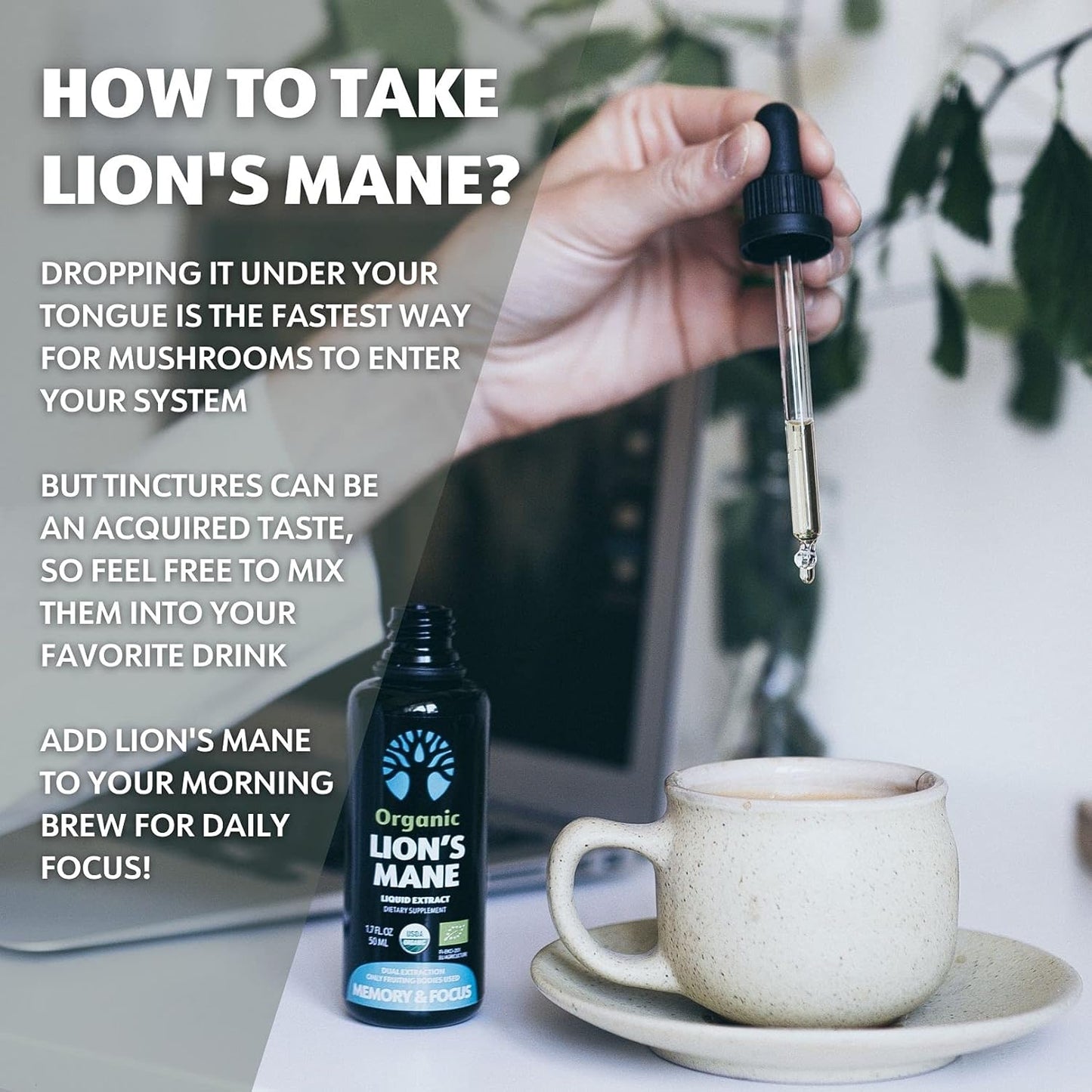 Organic Lion's Mane Extract for Memory and Focus - 50 Servings - Fruiting Bodies Only