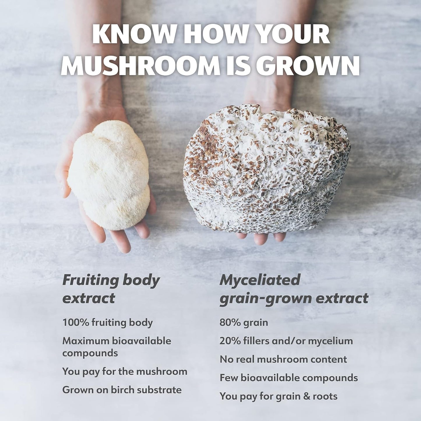 Organic Lion's Mane Extract for Memory and Focus - 50 Servings - Fruiting Bodies Only