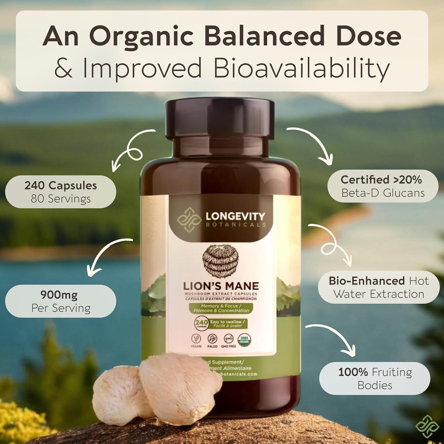 Organic Lions Mane Mushroom Capsules - Ultra Concentrated Supplement for Mental Clarity, Focus, and Memory - 100% Fruiting Body - 240 Count - BoostGo Australia