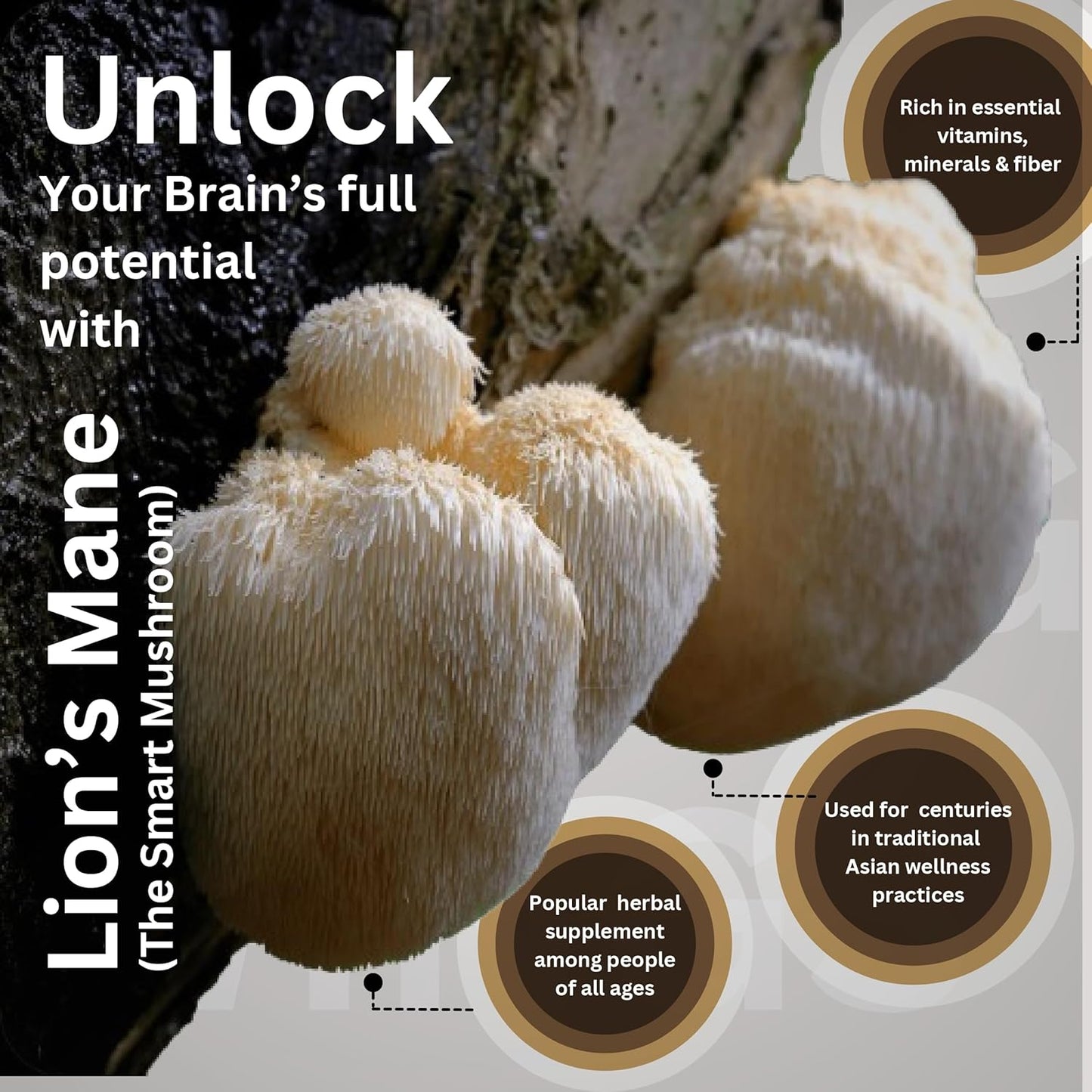 Organic Lions Mane Mushroom Extract Capsules for Cognitive Function, Memory, and Focus - Immune Support Supplement - 60 Veggie Pills