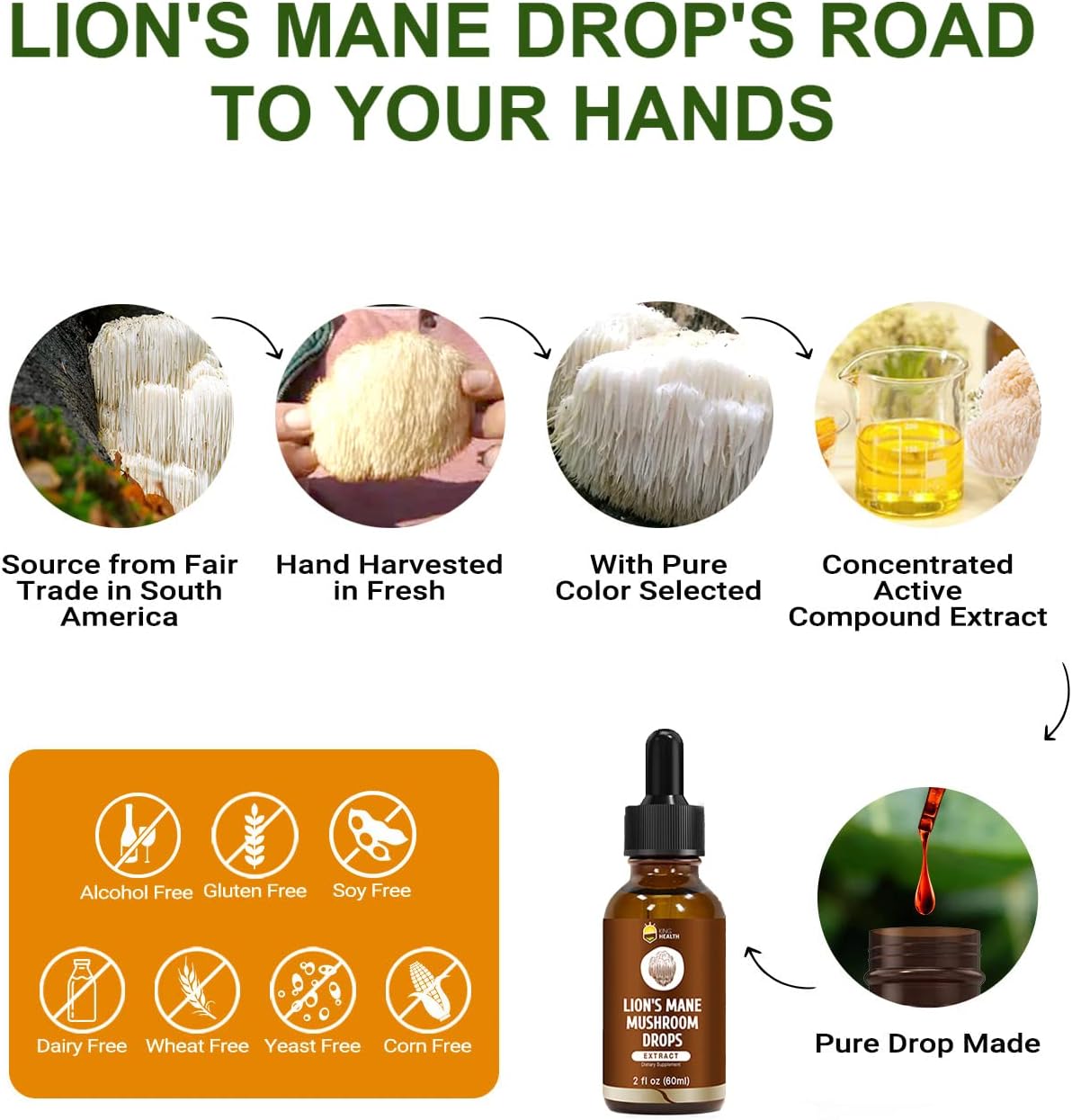 Organic Lion's Mane Mushroom Extract Liquid, High Absorption Tincture, Alcohol-Free, Vegan, Non-GMO - 2 Fl oz