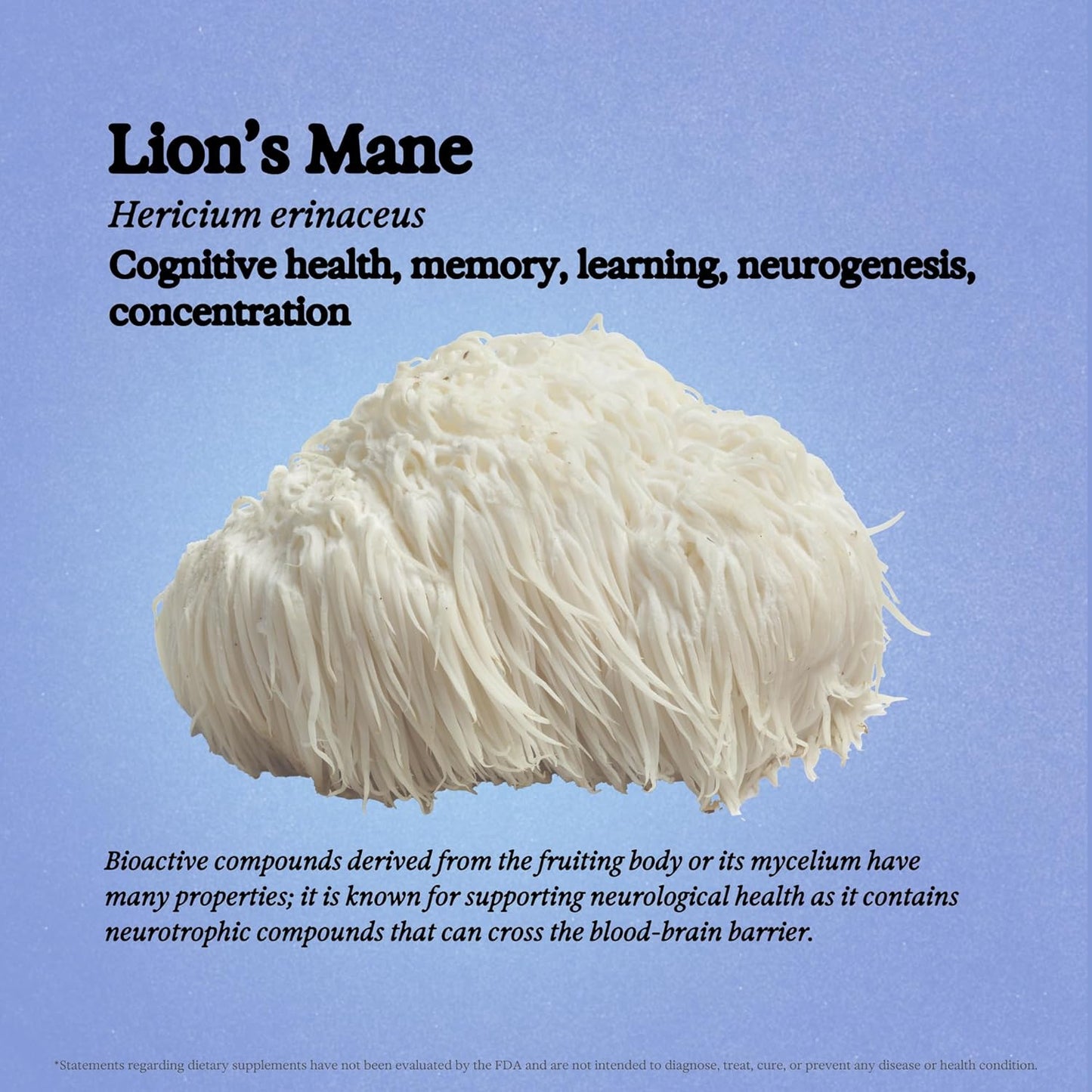 Organic Lion's Mane Mushroom Liquid Tincture for Brain Support - Alcohol-Free Dual Extract Supplement for Focus, Memory - Vegan, Non GMO - 3.4 fl oz