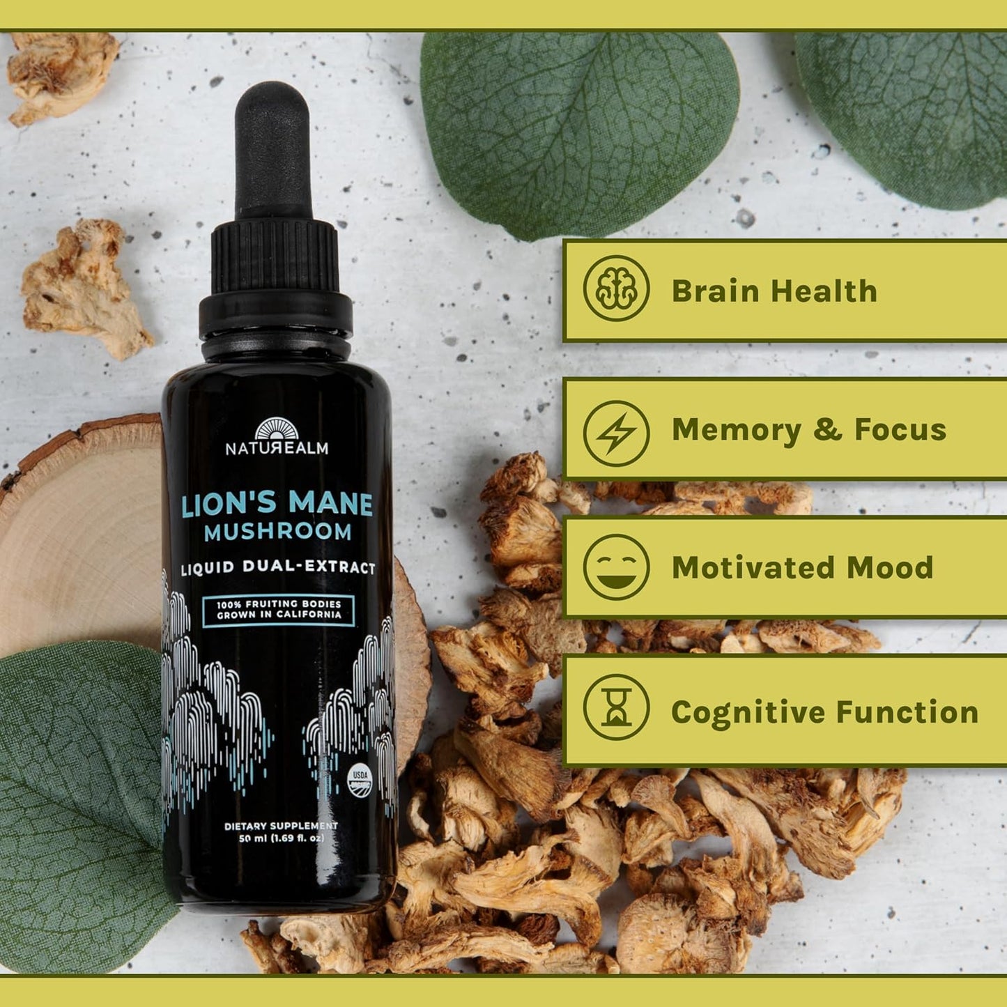 Organic Lion’s Mane Mushroom Liquid Tincture for Focus, Memory & Brain Health - Vegan, Non-GMO Supplement with Fruiting Bodies - 2 Month Supply