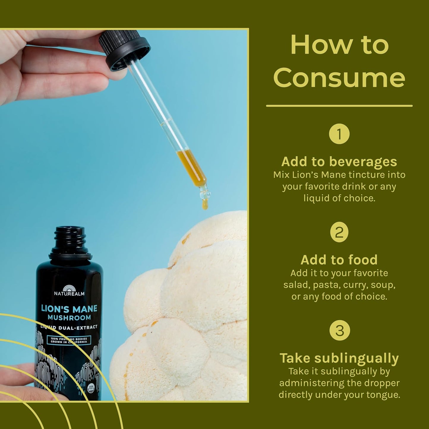Organic Lion’s Mane Mushroom Liquid Tincture for Focus, Memory & Brain Health - Vegan, Non-GMO Supplement with Fruiting Bodies - 2 Month Supply