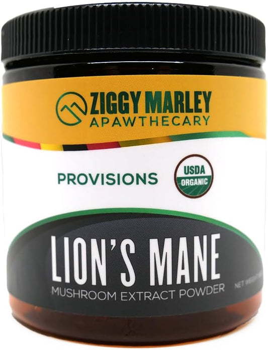 Organic Lions Mane Mushroom Powder for Pets - Supports Cognition - USDA Organic Extract for Dogs & Cats - 45 Servings
