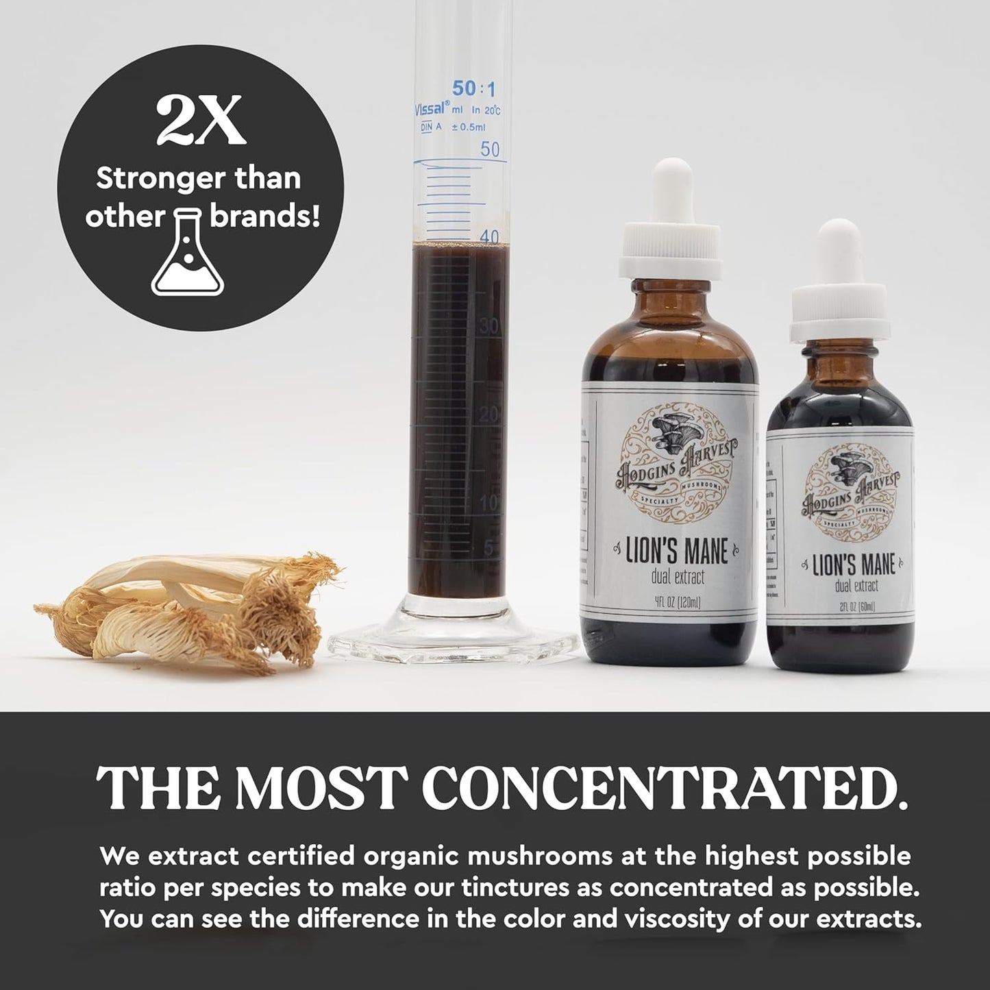 Organic Lion's Mane Tincture | Dual Extract | Extra-Concentrated | Grown in USA | Hodgins Harvest (4 fl oz)