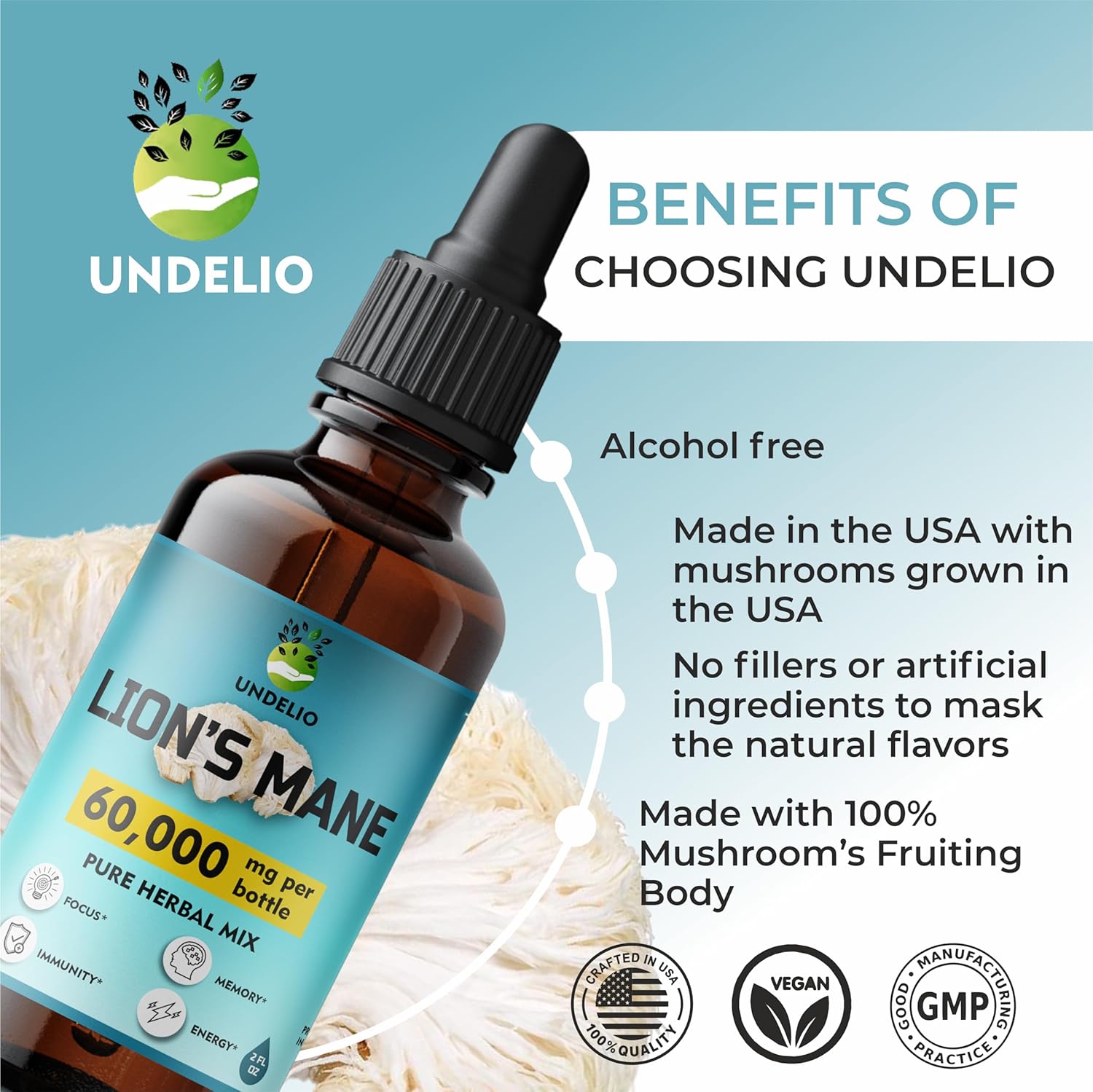 Organic Lions Mane Tincture for Memory, Focus & Immune Support - Vegan Mushroom Supplement - 2 Fl oz Bottle