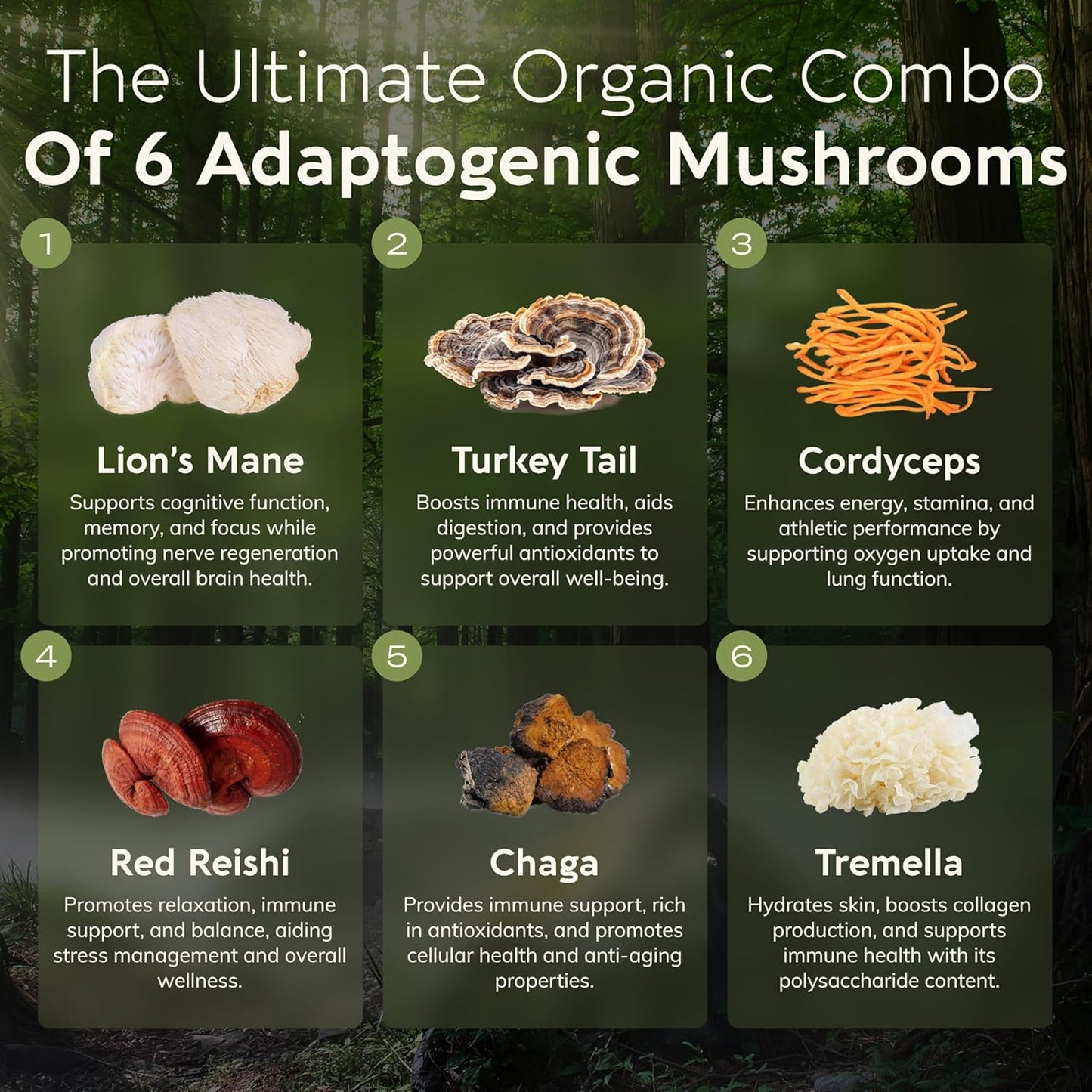 Organic Longevity Botanicals Super Six Mushroom Capsules - Enhanced Well-Being and Vitality - 100% Fruiting Body - 90 Capsules