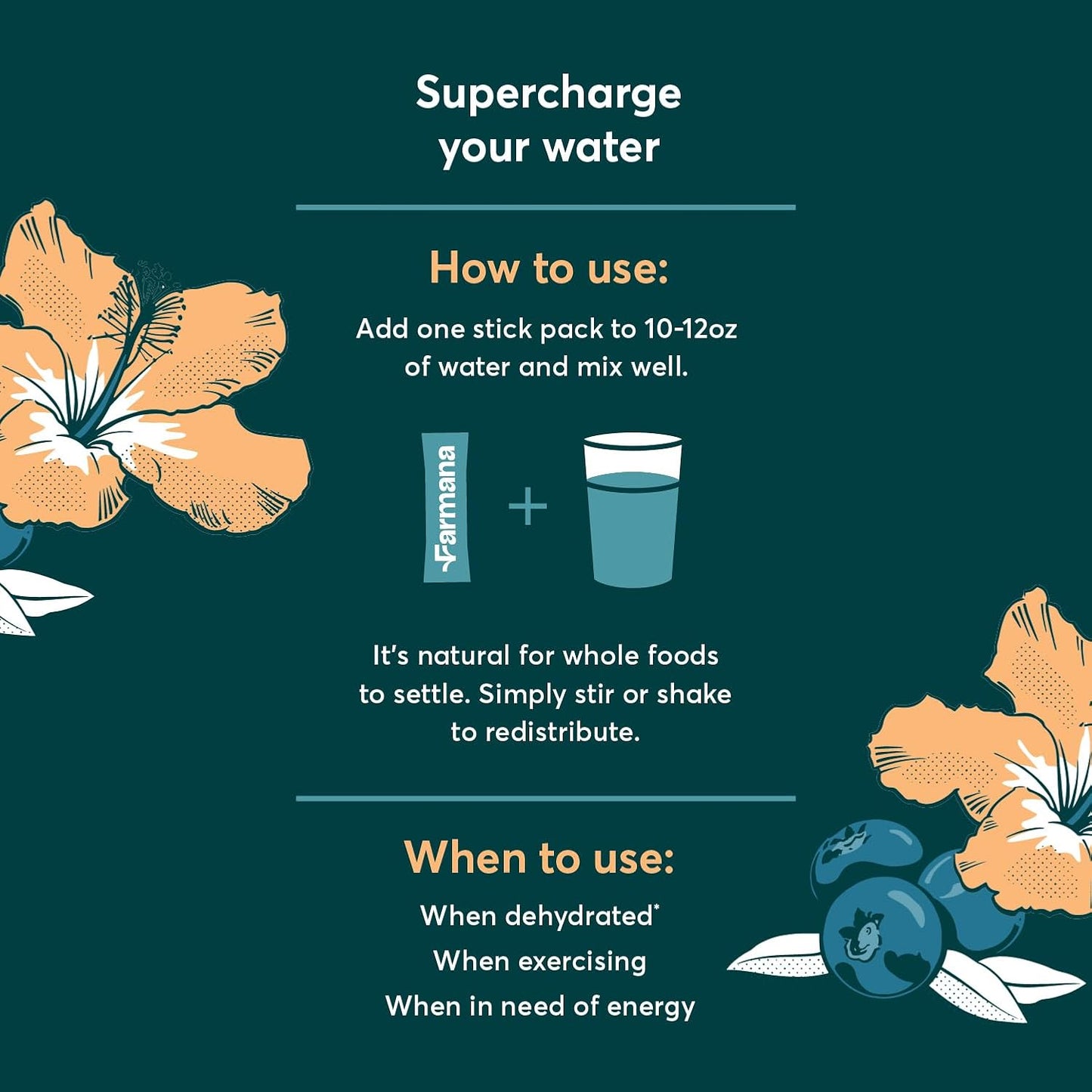 Organic Low Sodium Electrolyte Drink Mix with Natural Ingredients - Blueberry Hibiscus Flavor - No Sugar Added for Rapid Hydration and Energy Boost - BoostGo Australia