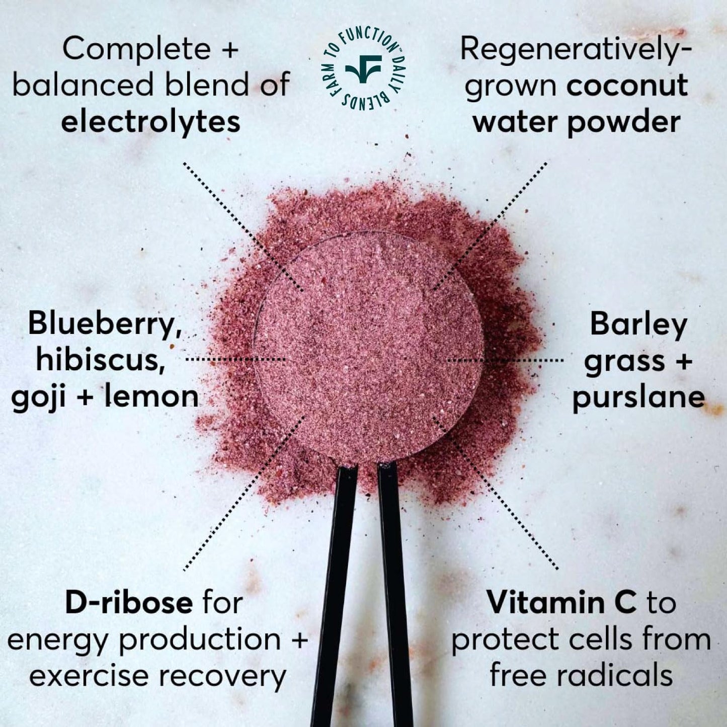 Organic Low Sodium Electrolyte Drink Mix with Natural Ingredients - Blueberry Hibiscus Flavor - No Sugar Added for Rapid Hydration and Energy Boost - BoostGo Australia
