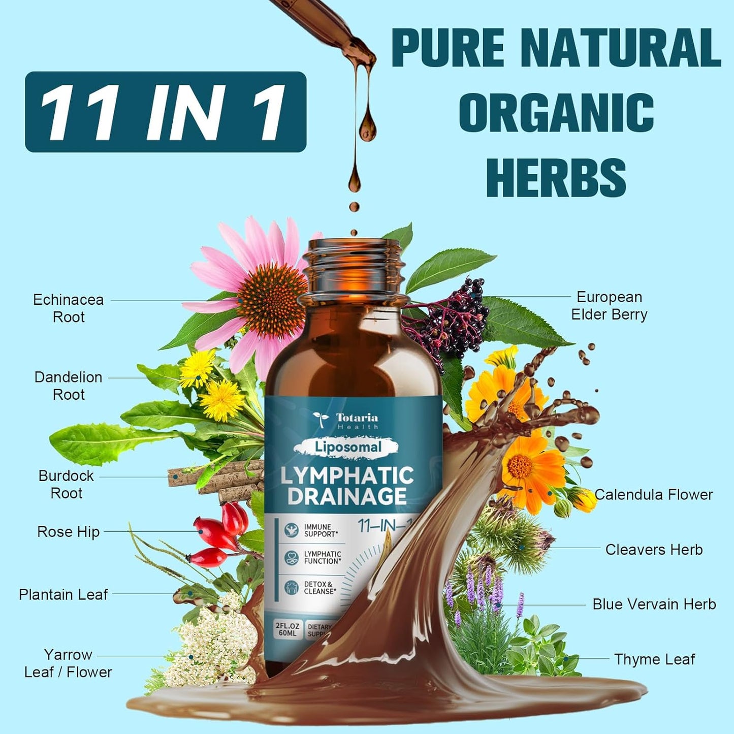 Organic Lymphatic Drainage Drops with 11 Herbs - Lymphatic Health Support Supplement 2 FL.OZ