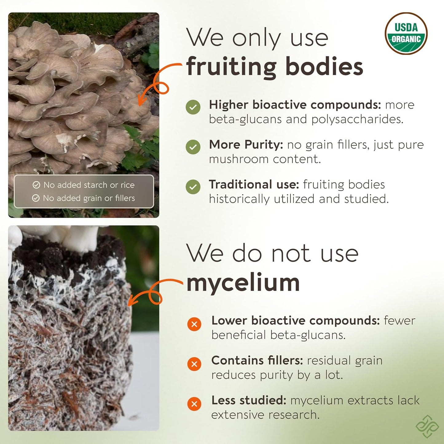 Organic Maitake Mushroom Capsules - Ultra Concentrated Supplement for Balanced Immune System - 100% Fruiting Body - 120 Capsules
