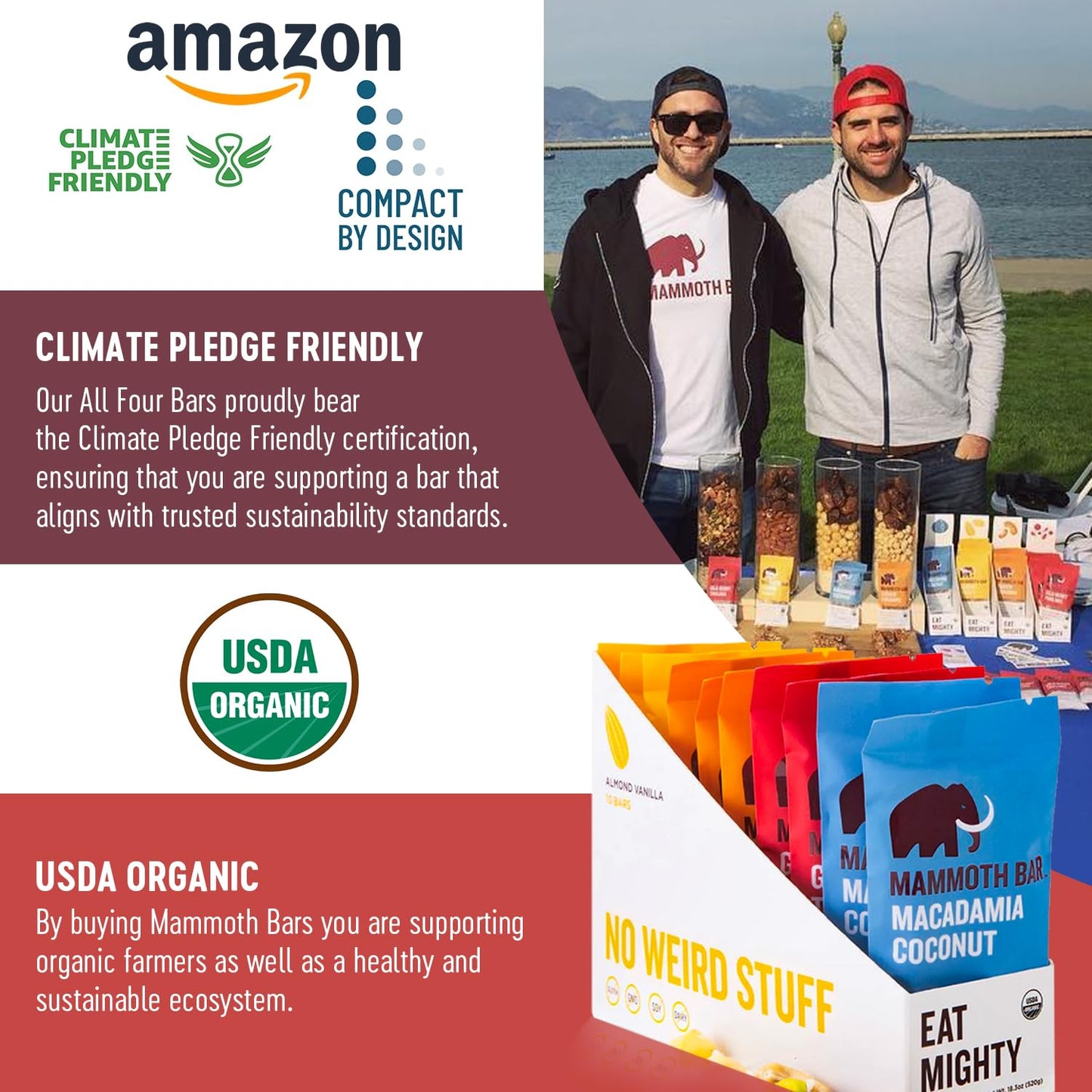 Organic Mammoth Bar Variety Pack - 10 High Protein Bars with Premium Nuts & Egg White Protein - Paleo, Gluten Free, GMO Free, Raw