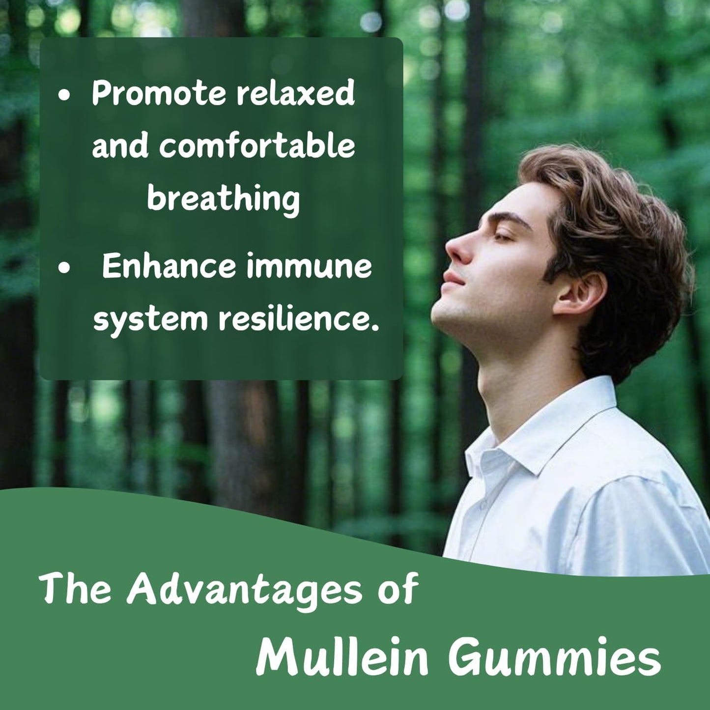 Organic Mango Mullein Gummies for Lung Support | Vegetarian Mullein Supplements | Immune Boosting Mullein Leaf Extract Gummies