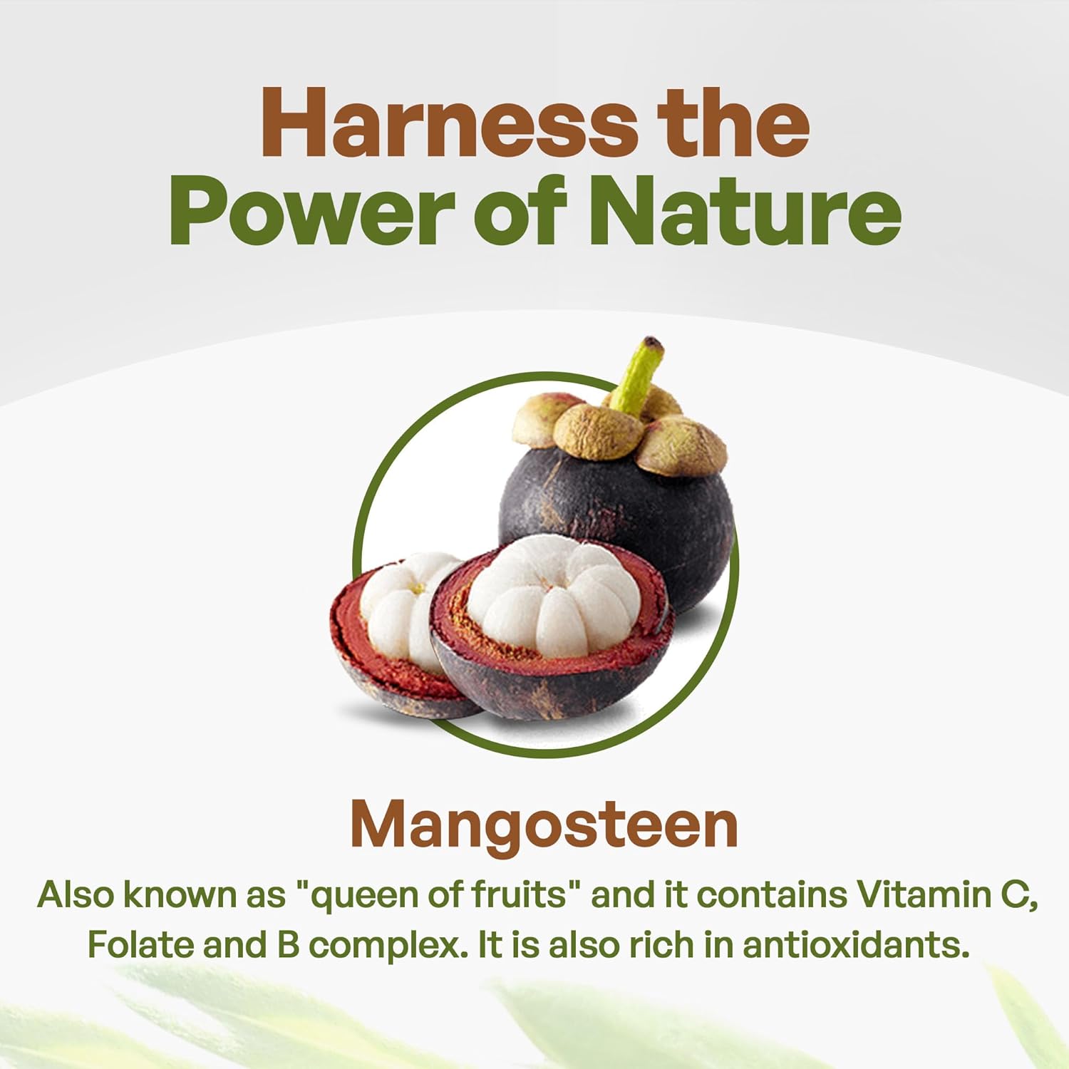 Organic Mangosteen Powder - Pure Superfood for Yogurts, Smoothies, and More, 1lb Non-GMO Vegan Powder from Mangosteen's Pericarp