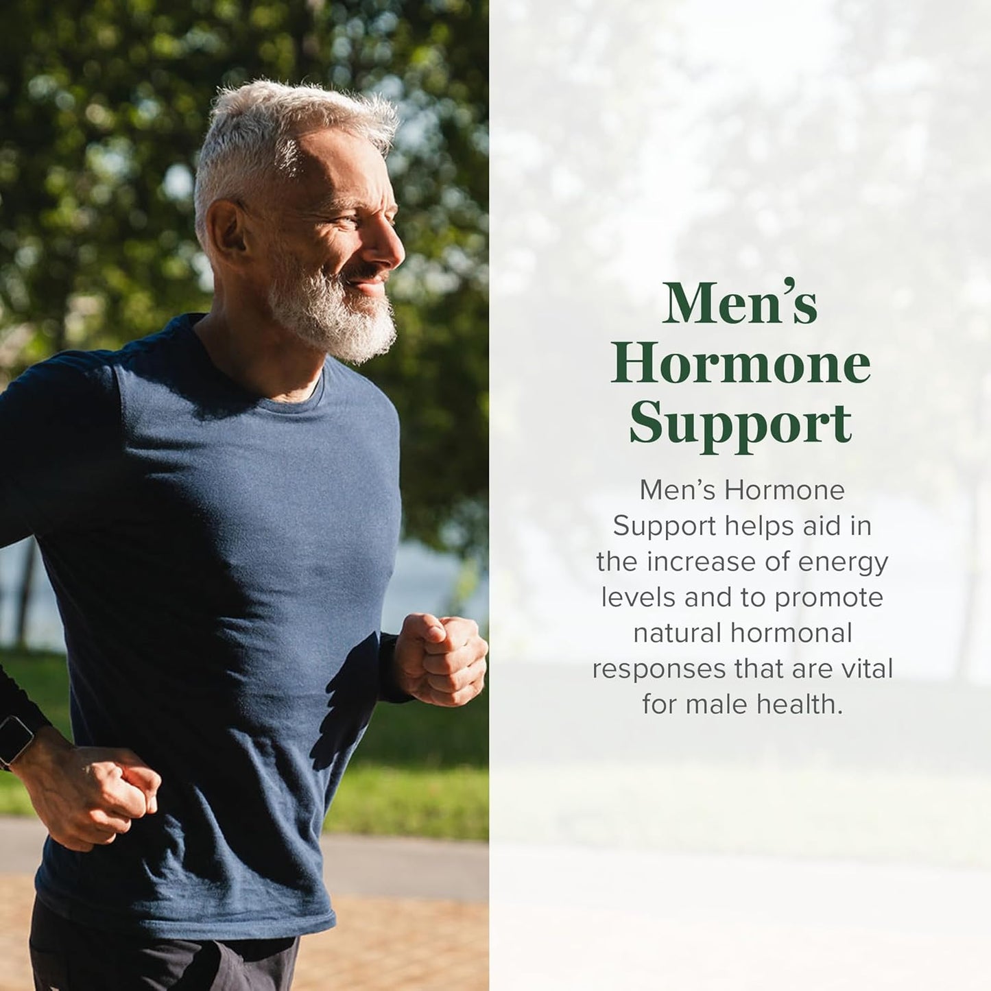 Organic Men's Hormone Support Liquid Supplement with Tribulus Terrestris - 2 Fl Oz by Global Healing Center