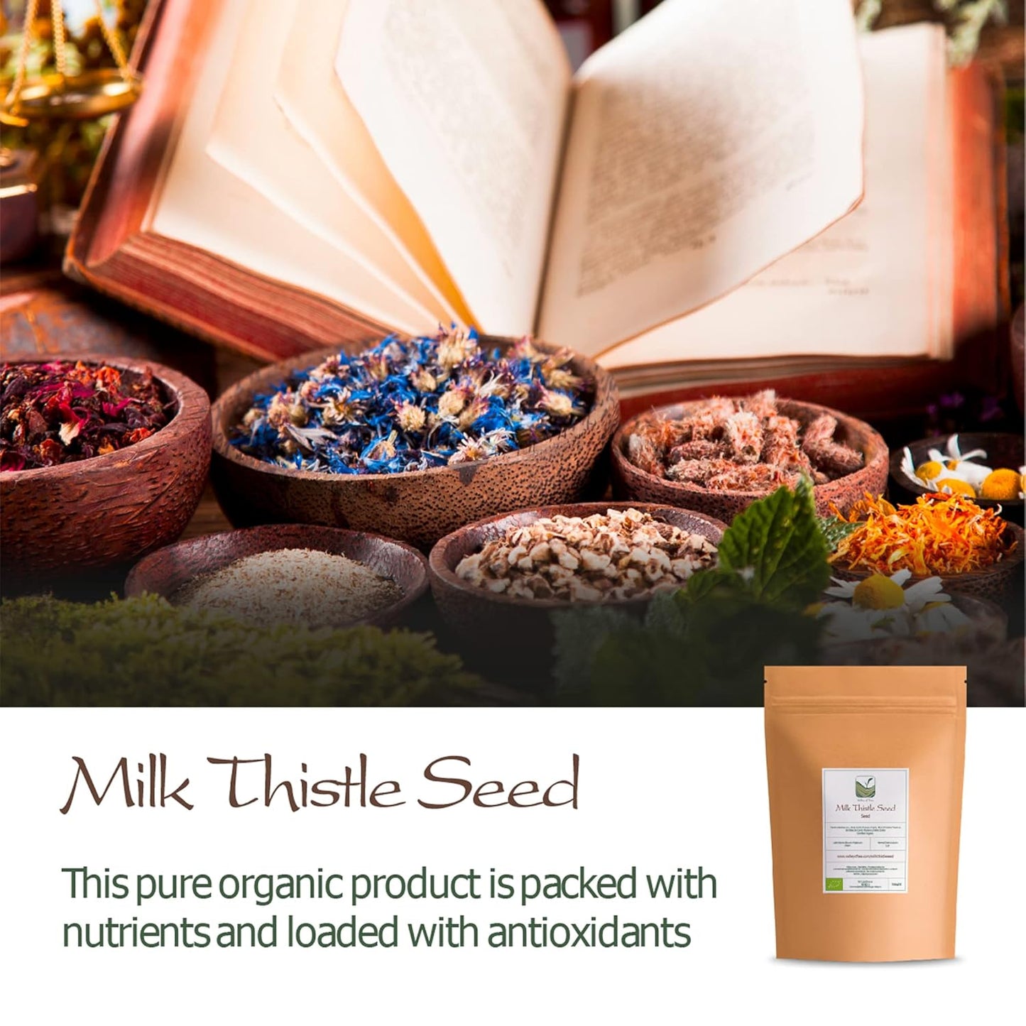 Organic Milk Thistle Seed Tea - Liver Detox Support - Silybum Marianum Herbal Tea Blend - Valley of Tea Milk Thistle