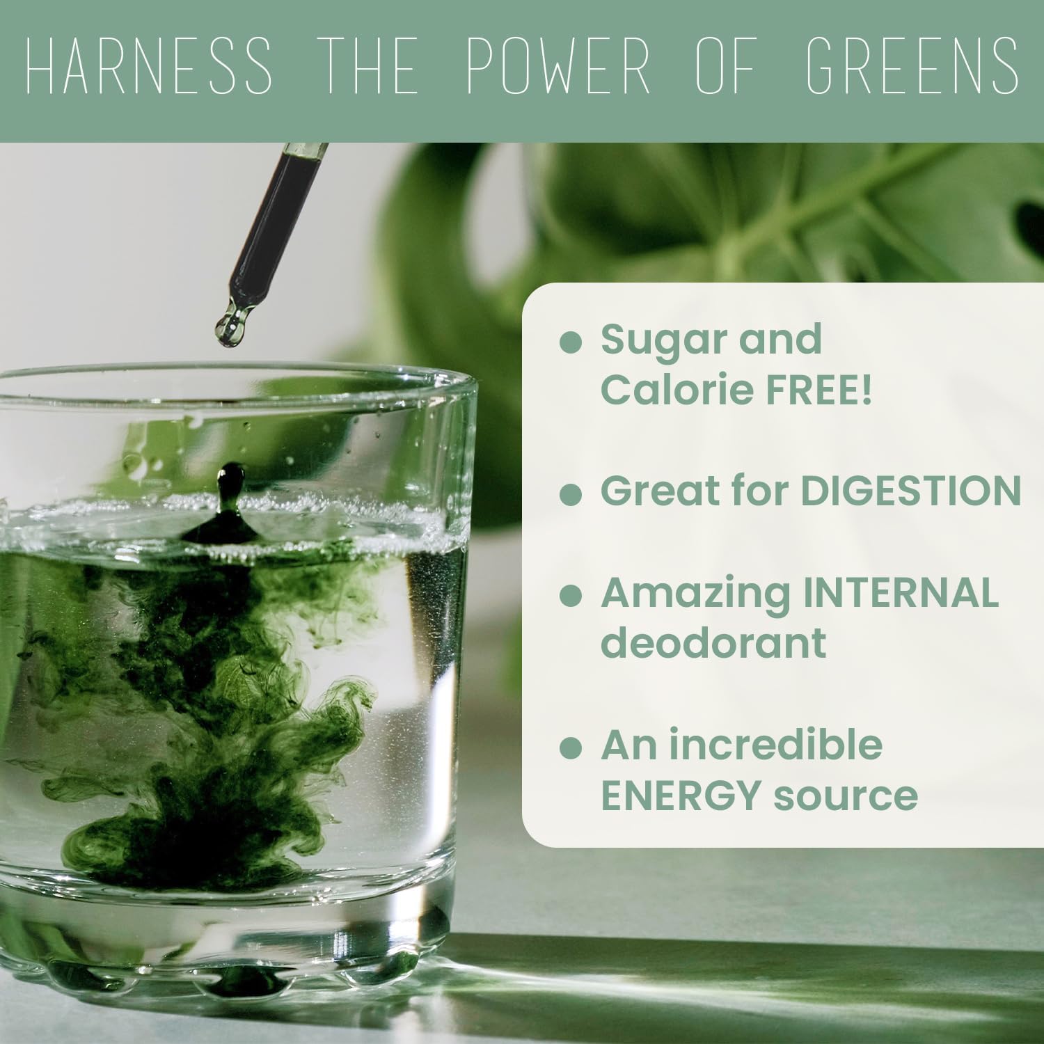 Organic Mint Chlorophyll Drops for Water - Internal Deodorant & Detox - Natural Energy Boost - Vegan & Non-GMO - 2oz.