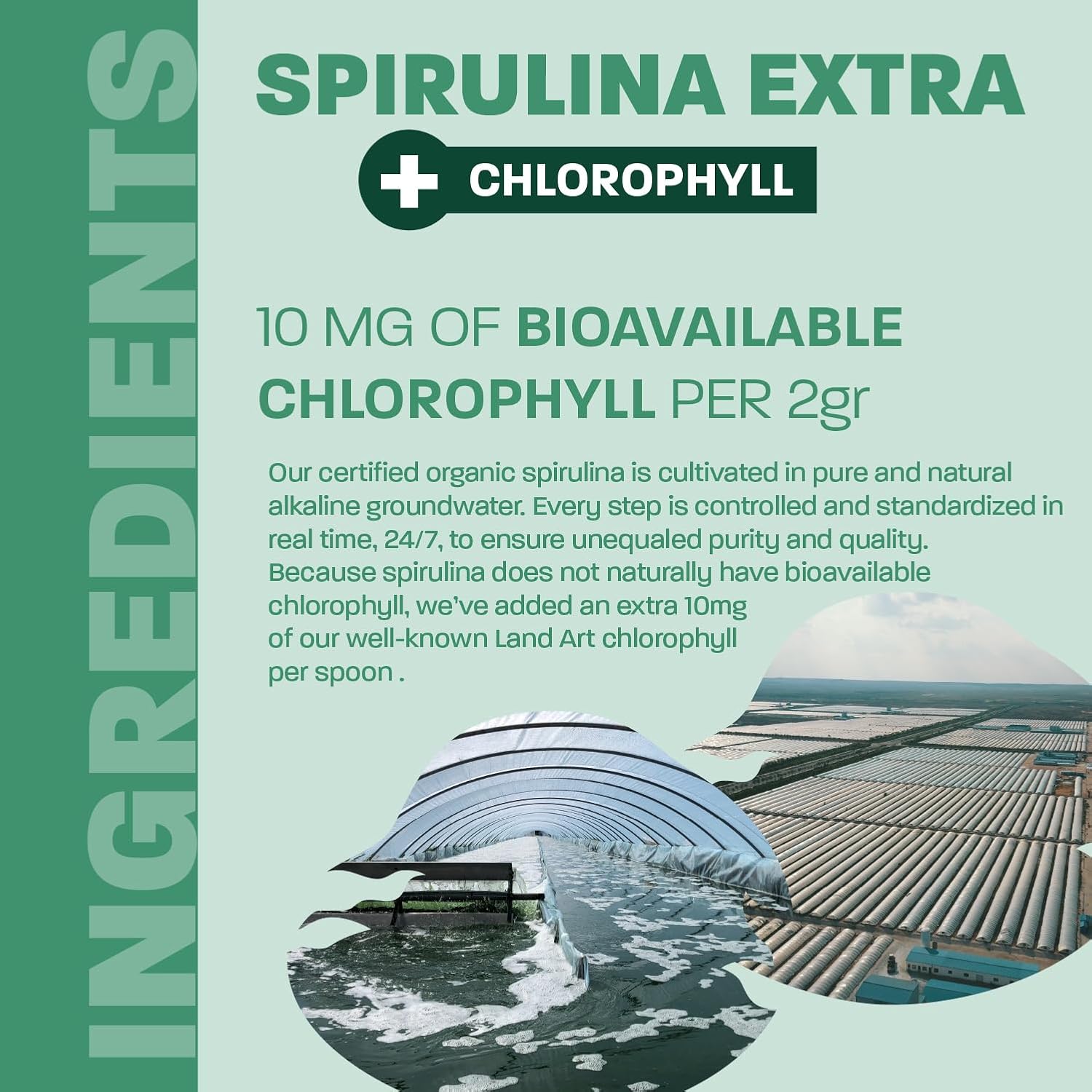 Organic Mint Flavoured Spirulina Powder by Land Art - 100% Pure Superfood with Bioactive Chlorophyll - 75 Servings - Rich in Antioxidants