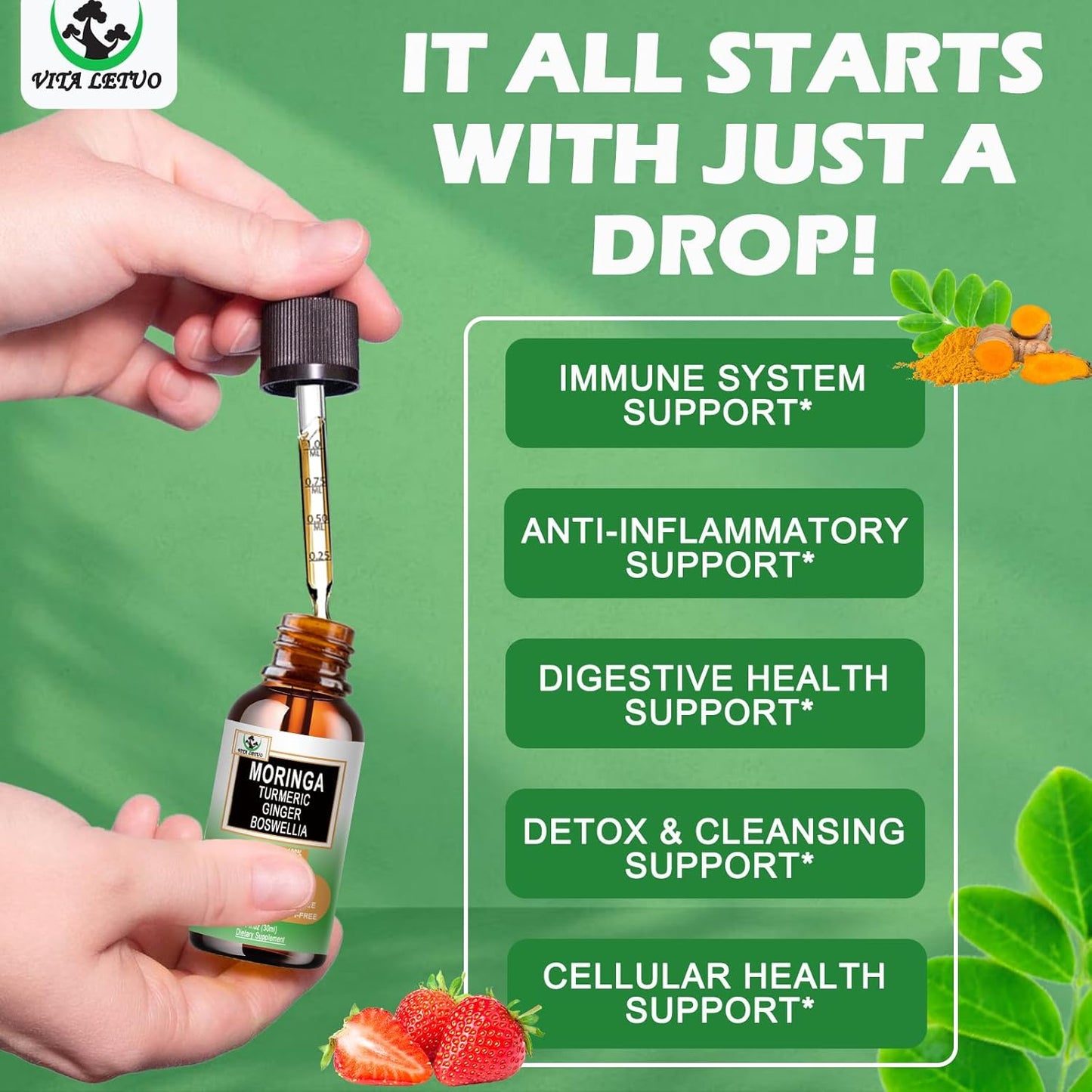 Organic Moringa Drops with Turmeric, Ginger, and Boswellia for Energy, Skin, and Gut Health - High Absorption Green Superfood Liquid Formula with Essential Nutrients